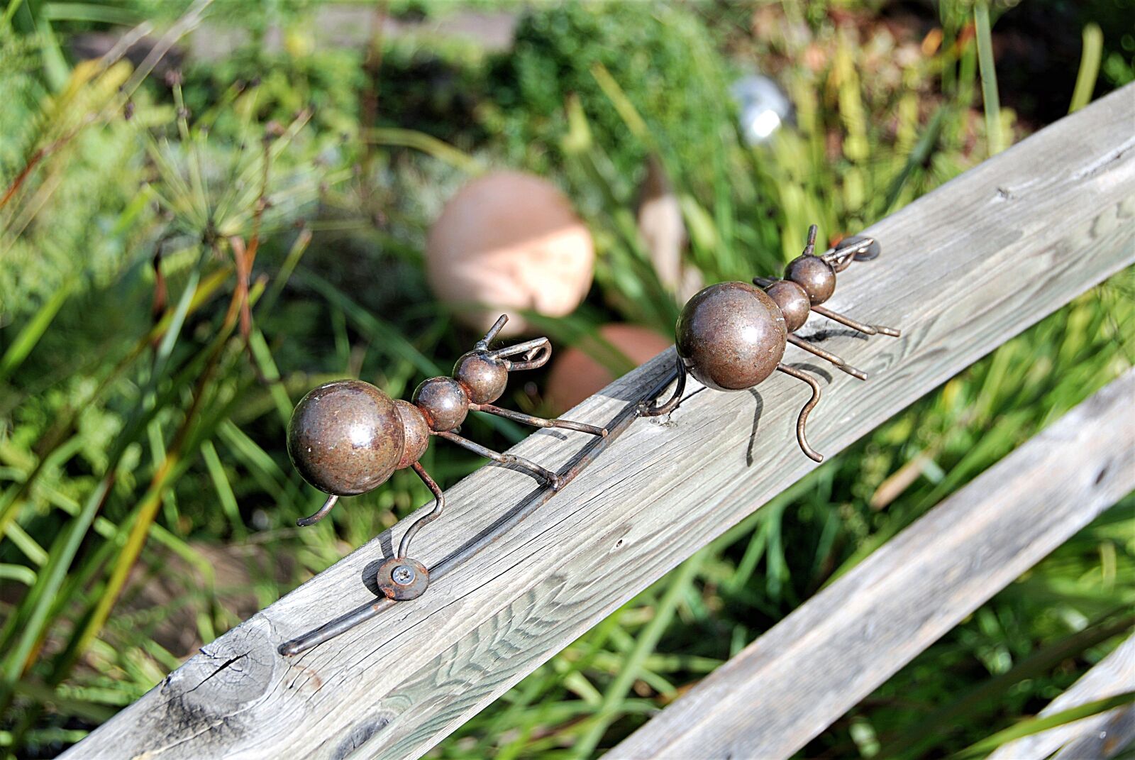 Nikon D80 sample photo. Ants, metal, object photography