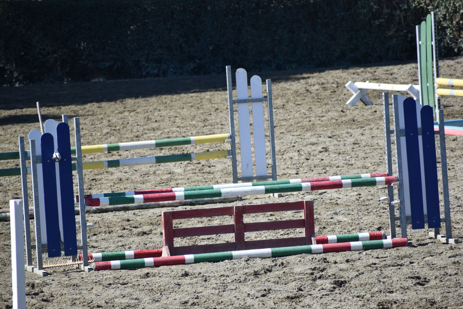 Nikon D5600 sample photo. Obstacles, hippodrome, horse photography