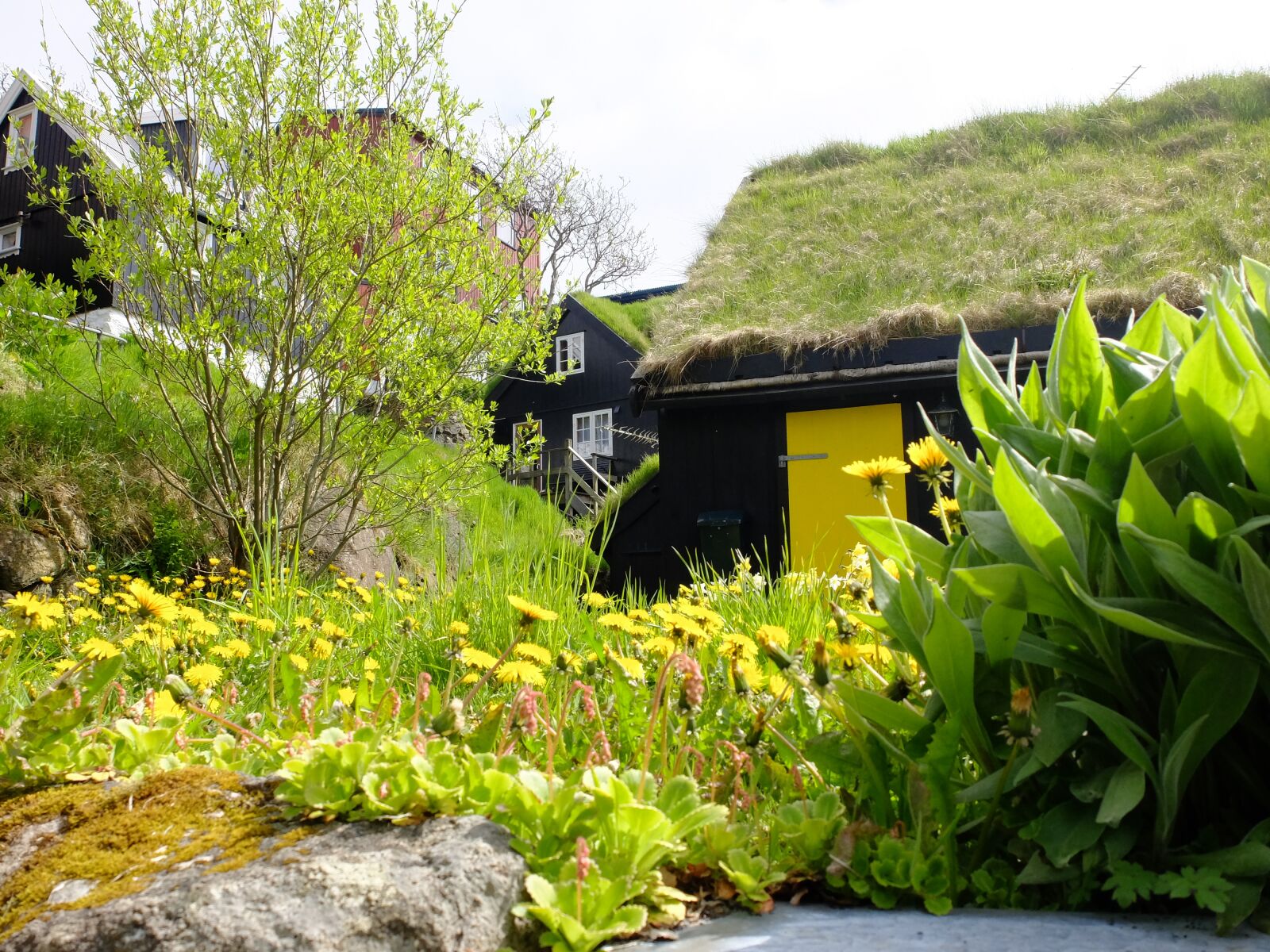 Fujifilm X30 sample photo. House, natural, torshavn photography