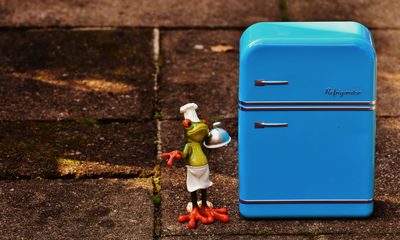Nikon D7200 sample photo. Frog, cooking, refrigerator photography