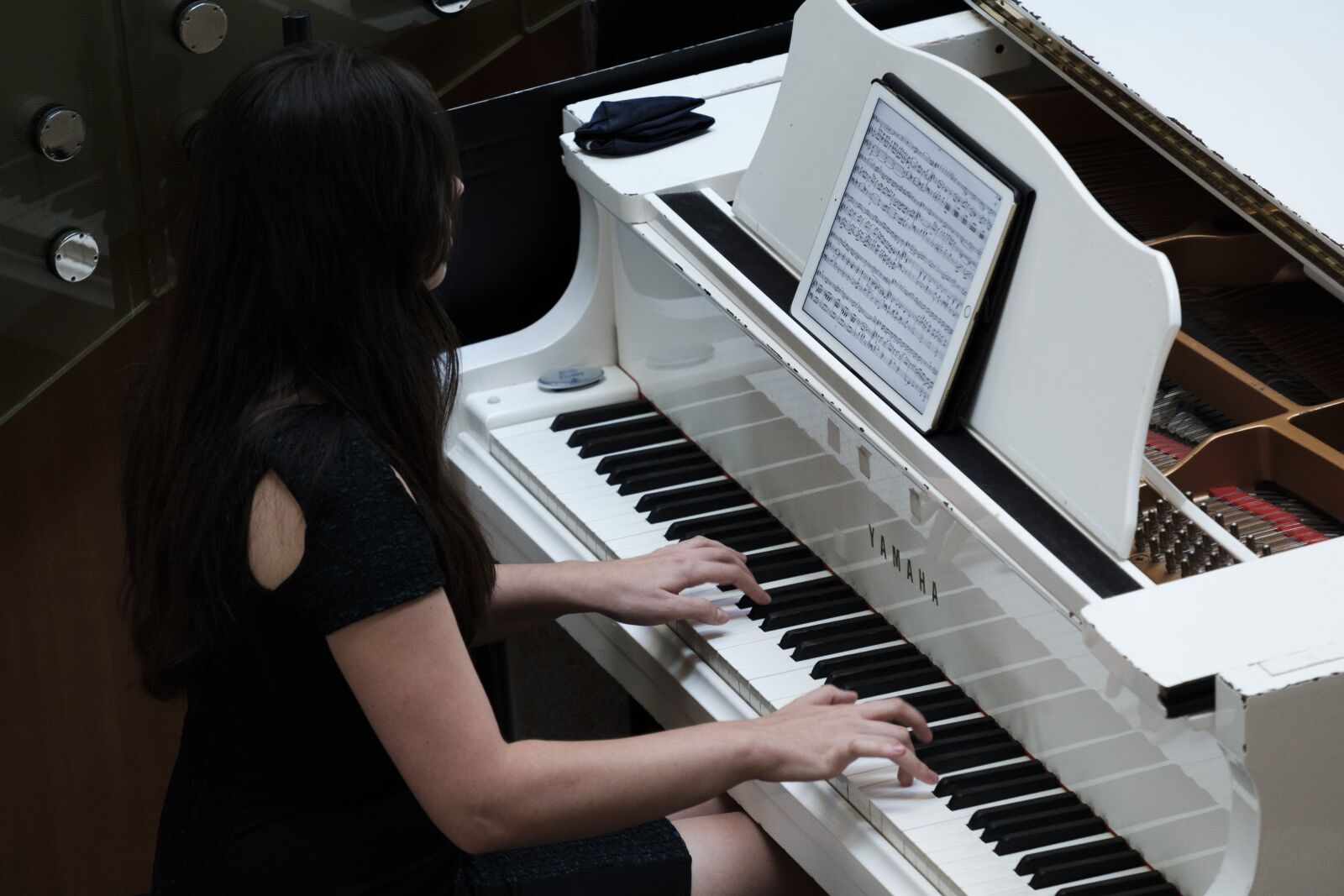 Fujifilm X-T2 + Fujifilm XF 55-200mm F3.5-4.8 R LM OIS sample photo. Wing, piano, instrument photography
