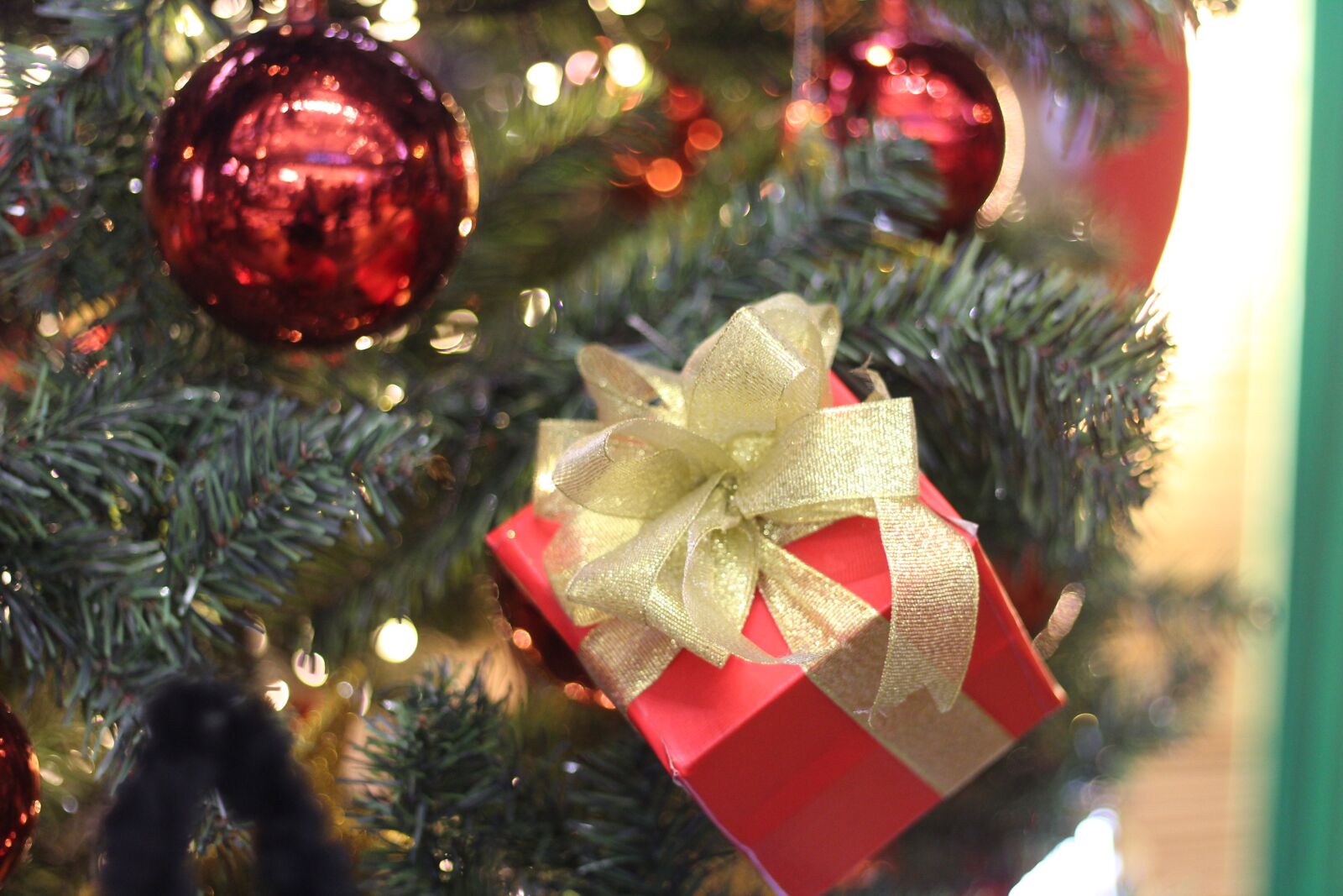 Canon EOS 1300D (EOS Rebel T6 / EOS Kiss X80) + Canon EF 50mm F1.8 STM sample photo. Holiday, christmas, xmas photography