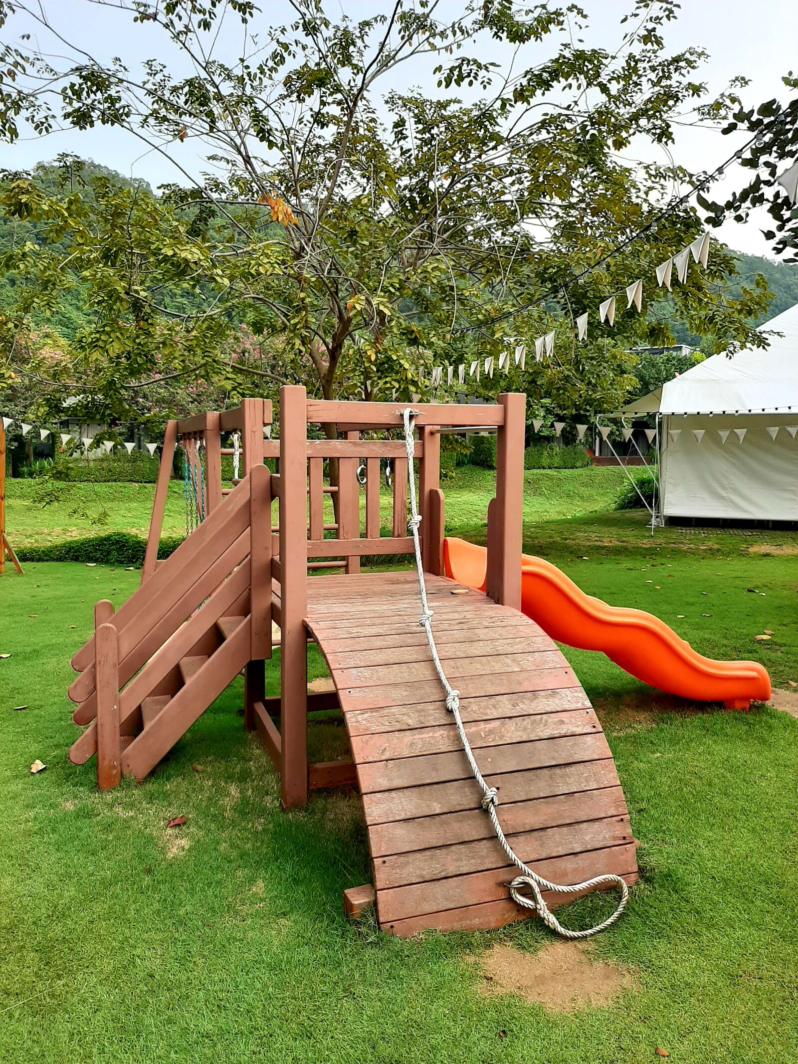 Samsung Galaxy A50 sample photo. Nature, park, garden photography