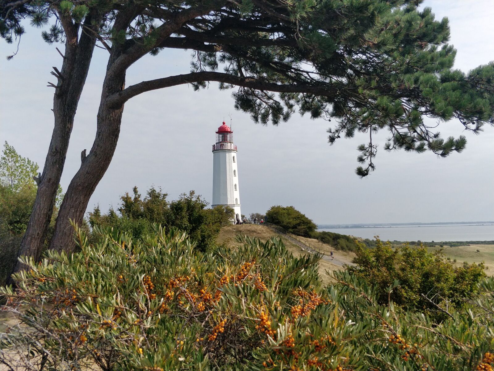 OnePlus 5 sample photo. Lighthouse, tree, sea photography