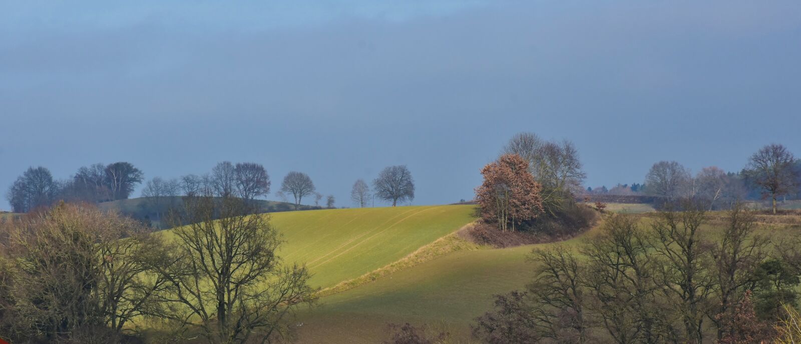 Nikon D7200 sample photo. Bavaria, nature, panorama photography