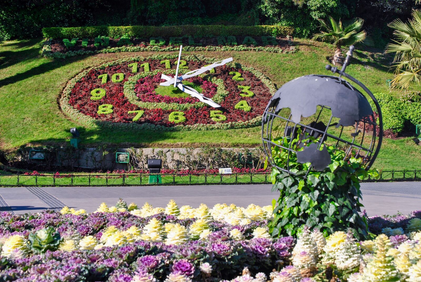 Nikon D3000 sample photo. Flower clock, vi a photography