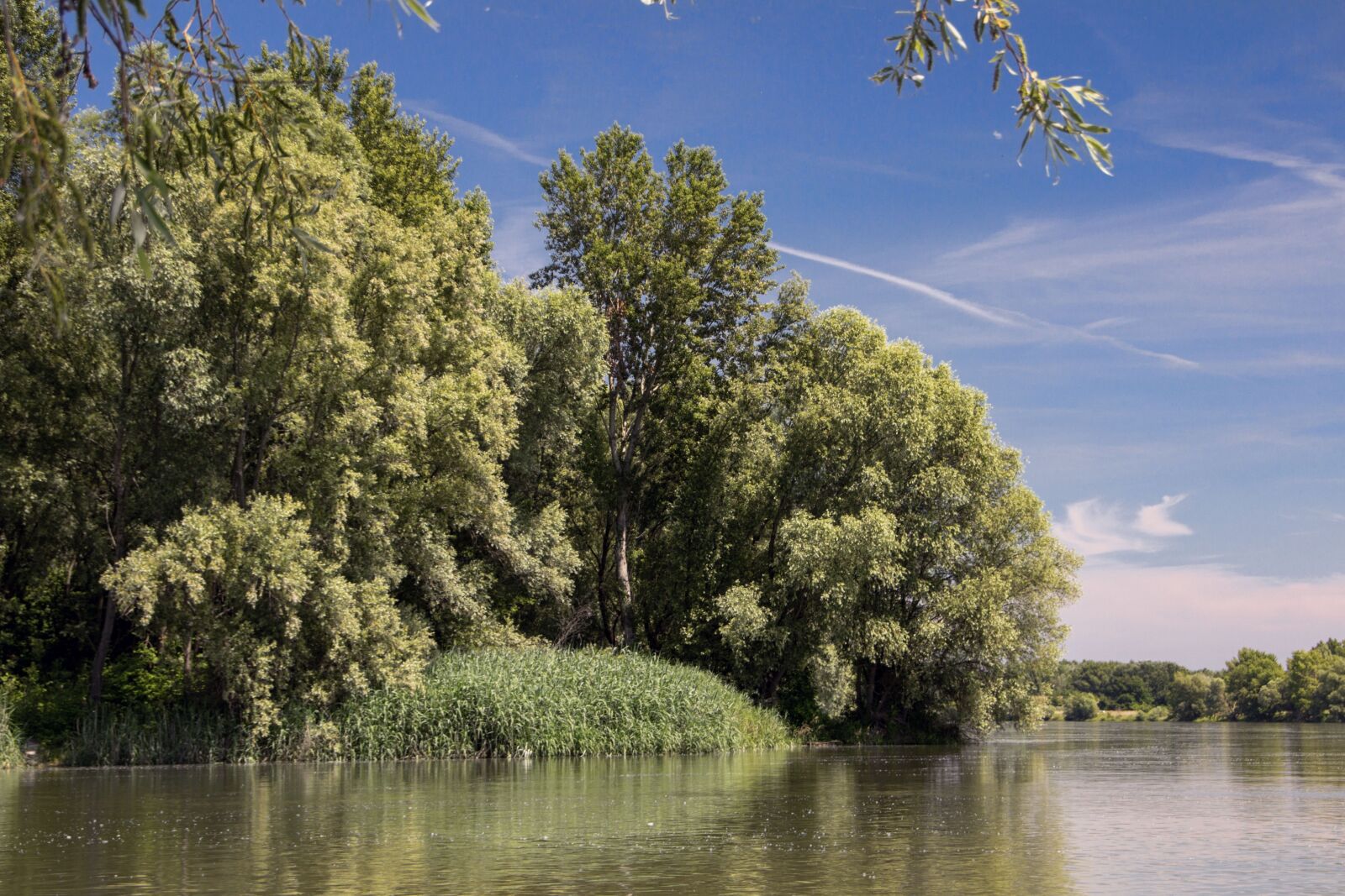 Canon EOS 600D (Rebel EOS T3i / EOS Kiss X5) sample photo. Danube, slovakia, nature photography
