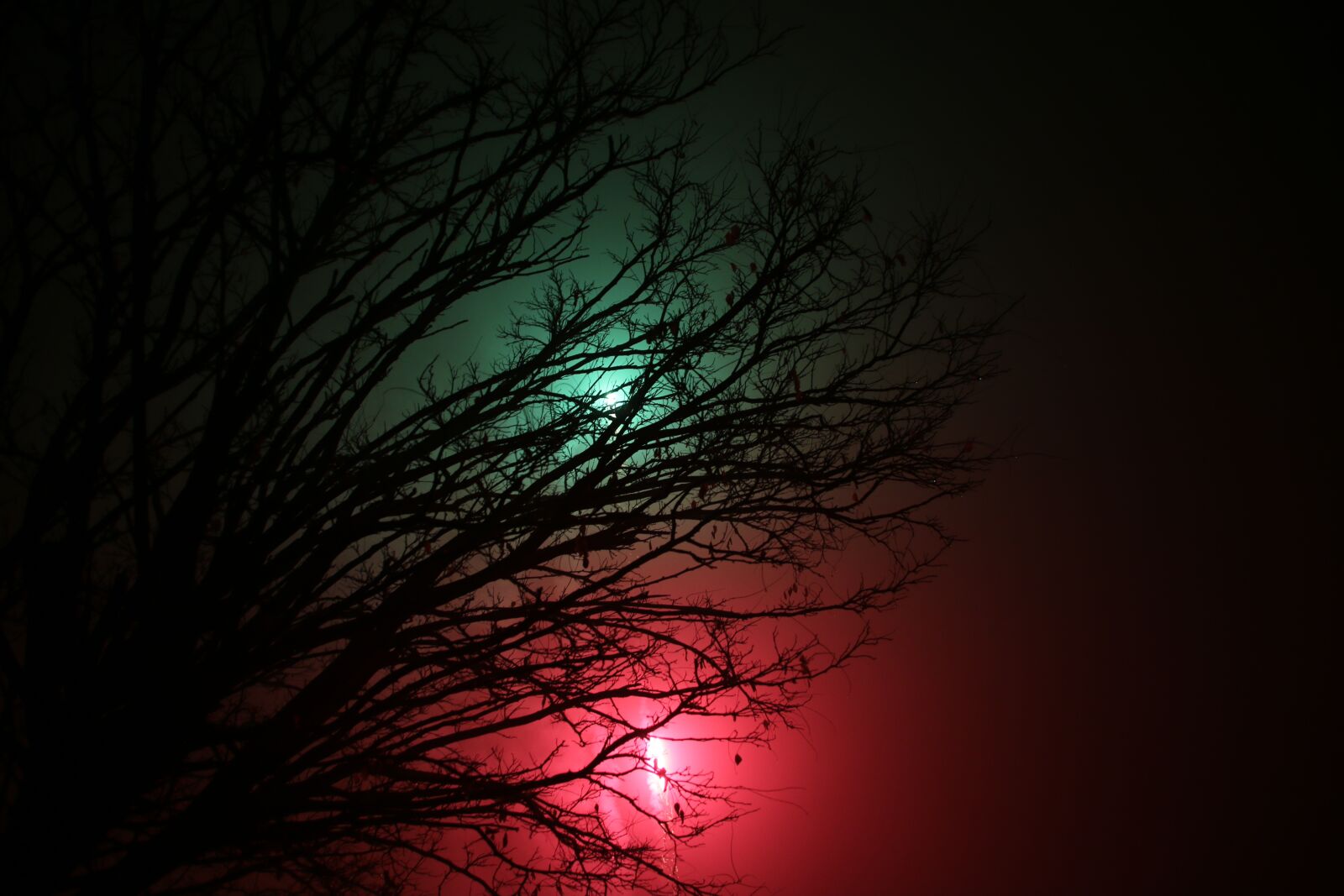 Canon EOS 70D sample photo. New years eve, fireworks photography