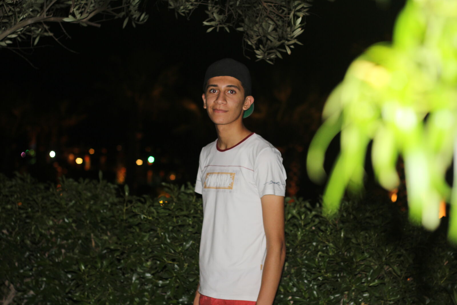 Canon EOS 60D + Canon EF 50mm F1.8 II sample photo