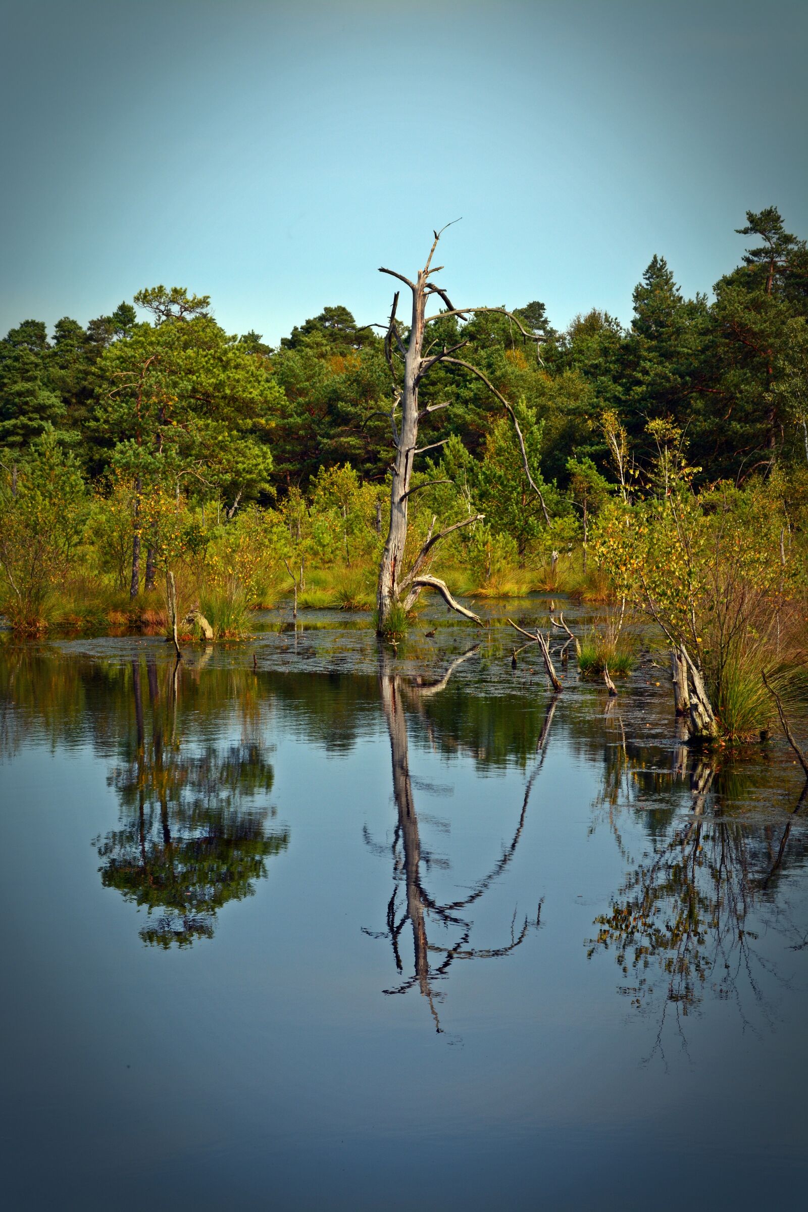 Nikon D5200 sample photo. Moor, mirroring, water photography
