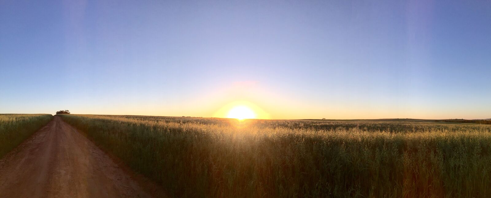 Apple iPhone 6 sample photo. Agriculture, dirt, road, farm photography