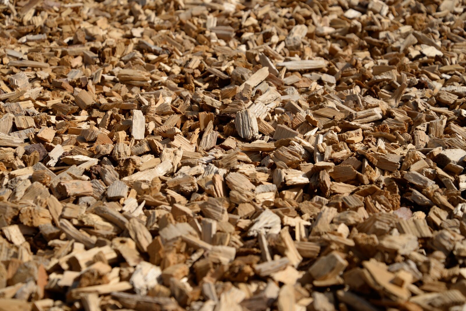 Nikon D610 sample photo. Wood, cut, wood chips photography