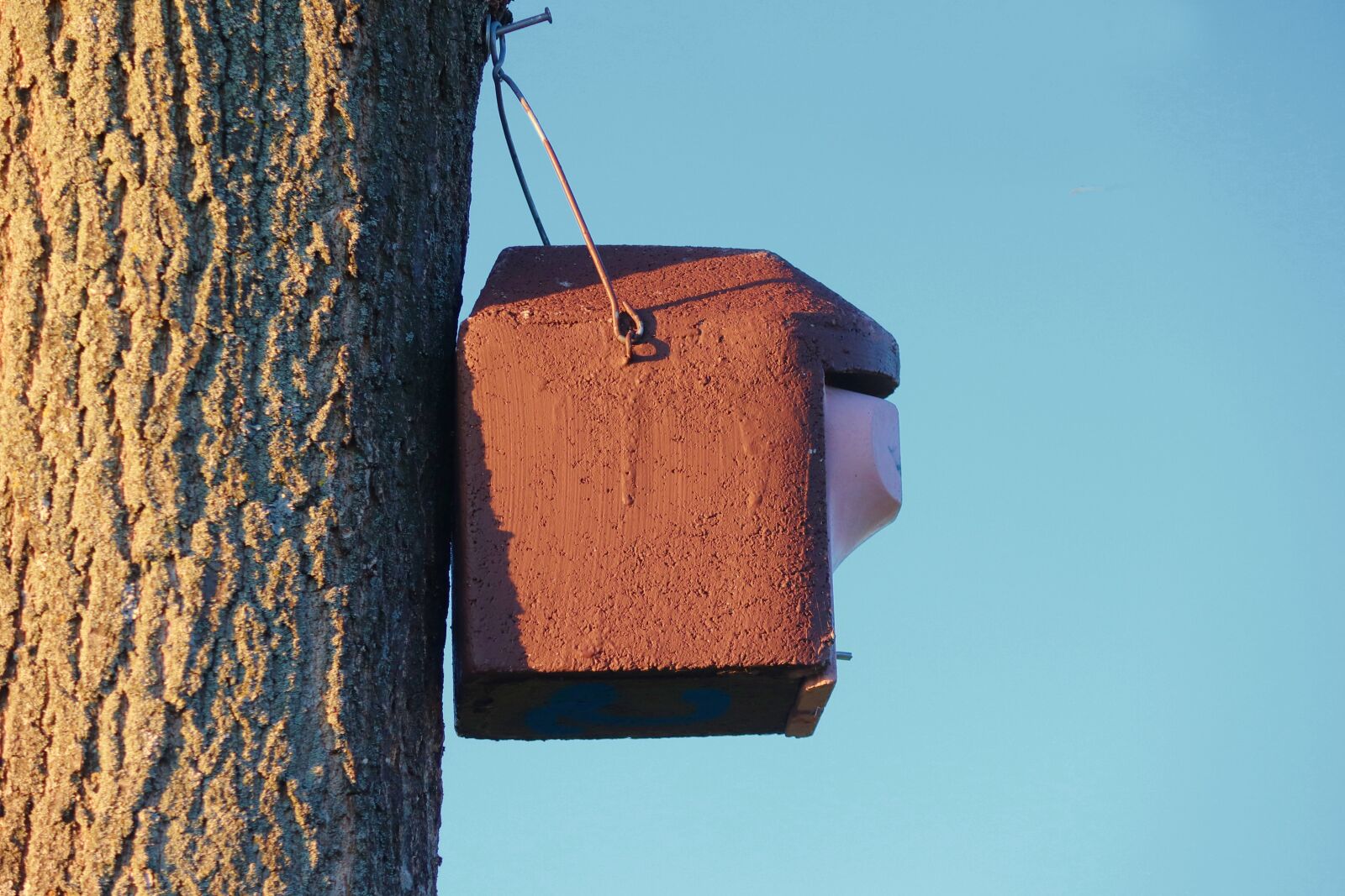 Canon EOS 200D (EOS Rebel SL2 / EOS Kiss X9) sample photo. Aviary, nesting box, nature photography
