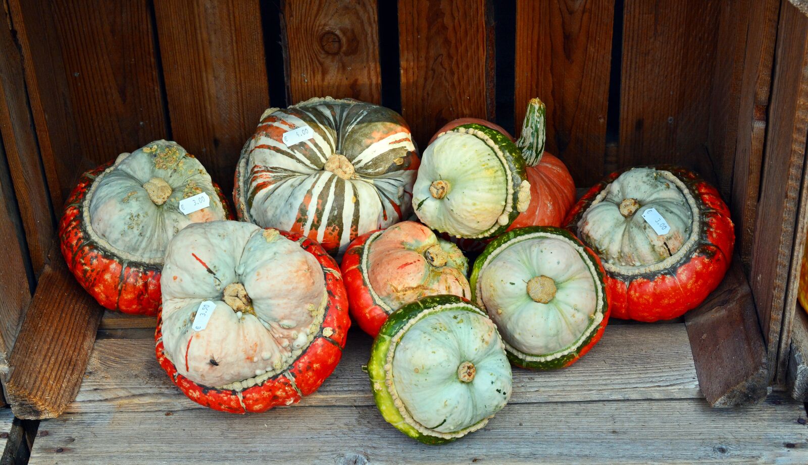 Nikon D5200 sample photo. Pumpkin, harvest time, sale photography
