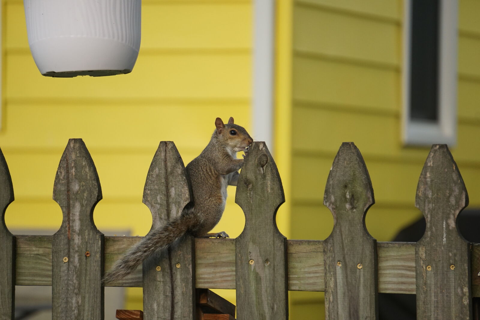 Sony a6000 sample photo
