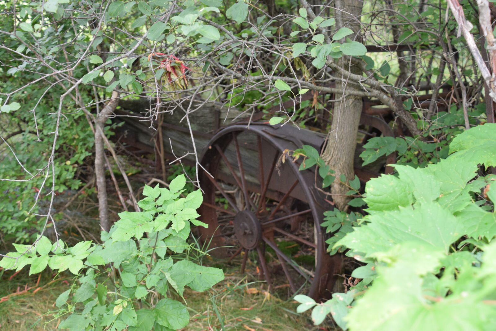 Nikon D5300 sample photo. Iron wheel, rusty iron photography