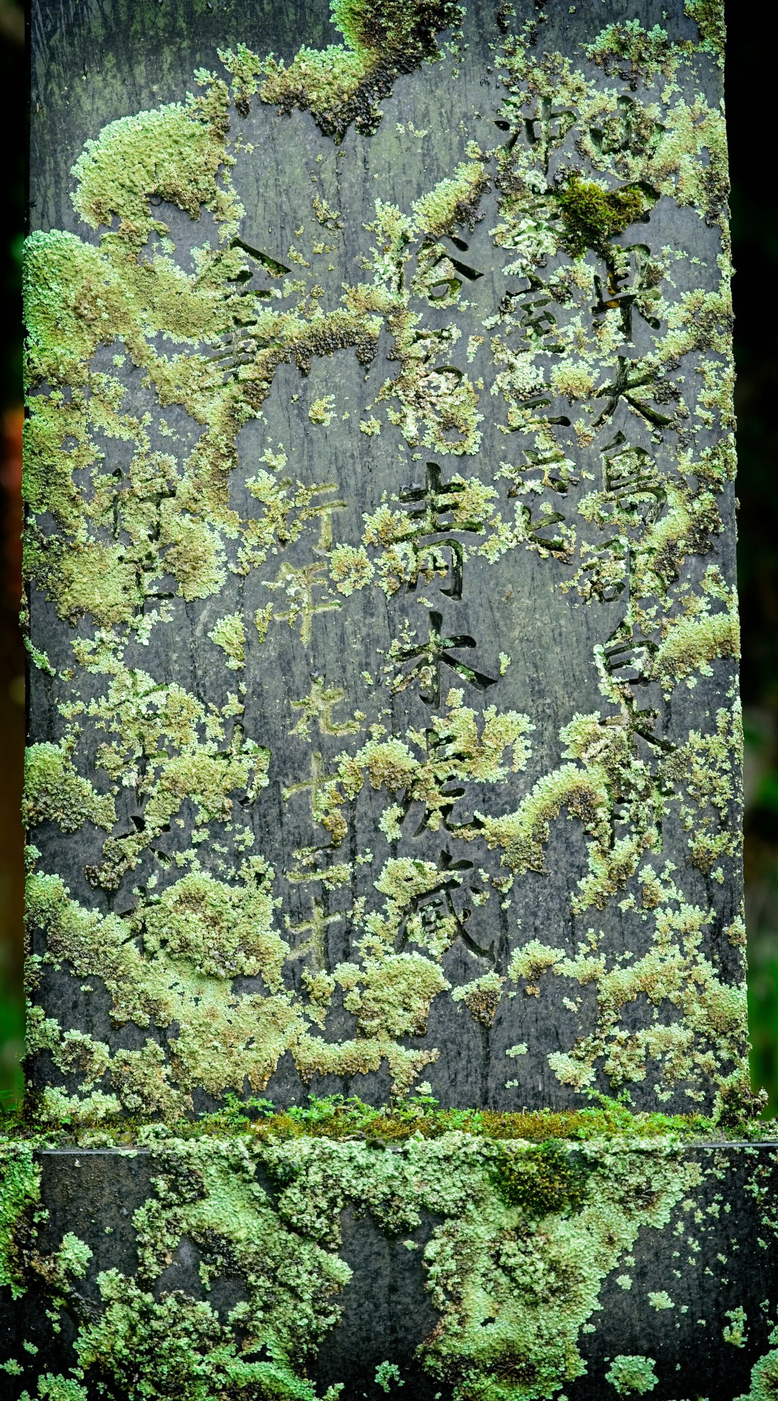 Sony a7 III sample photo. Lichen, tombstone, japanese photography