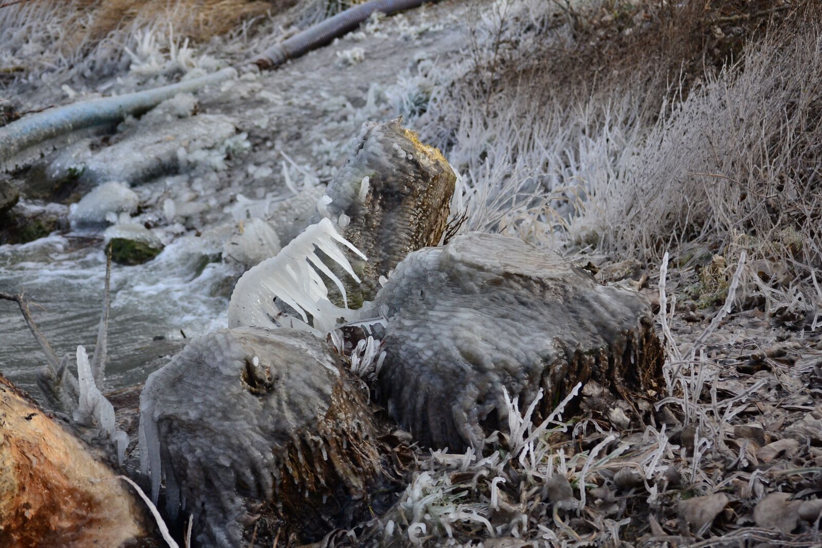 Nikon D3100 sample photo. Winter, frost, ice photography