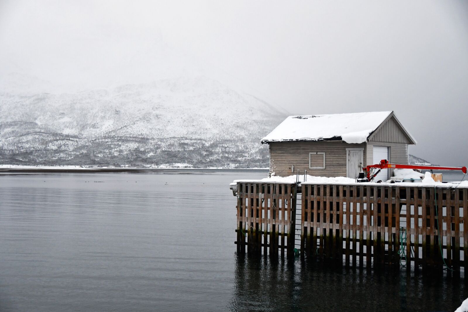 Nikon D7500 sample photo. Cottage, beach, sea photography
