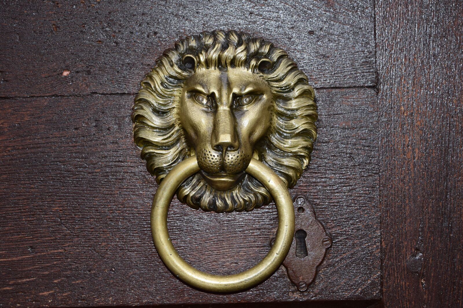 Nikon D5300 sample photo. Door, the lion, knocker photography
