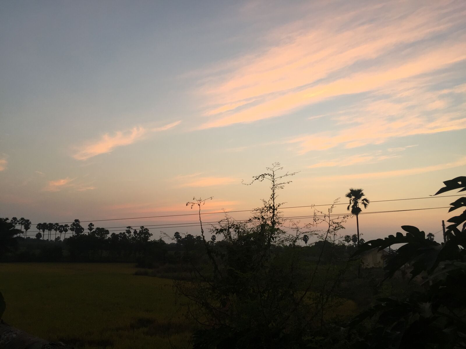 iPhone 6 Plus back camera 4.15mm f/2.2 sample photo