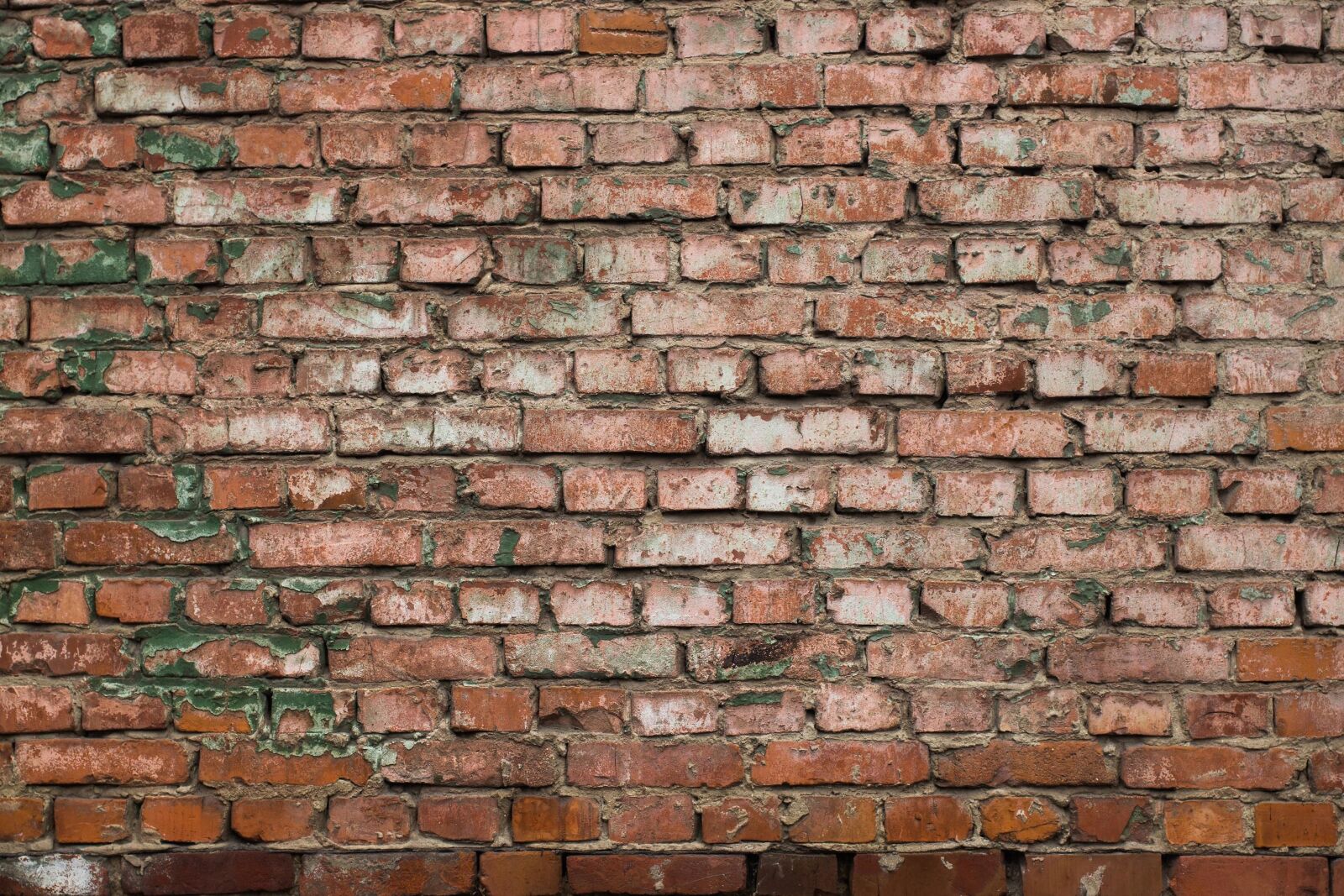 Canon EOS 100D (EOS Rebel SL1 / EOS Kiss X7) sample photo. Brick, wall, tile, texture photography