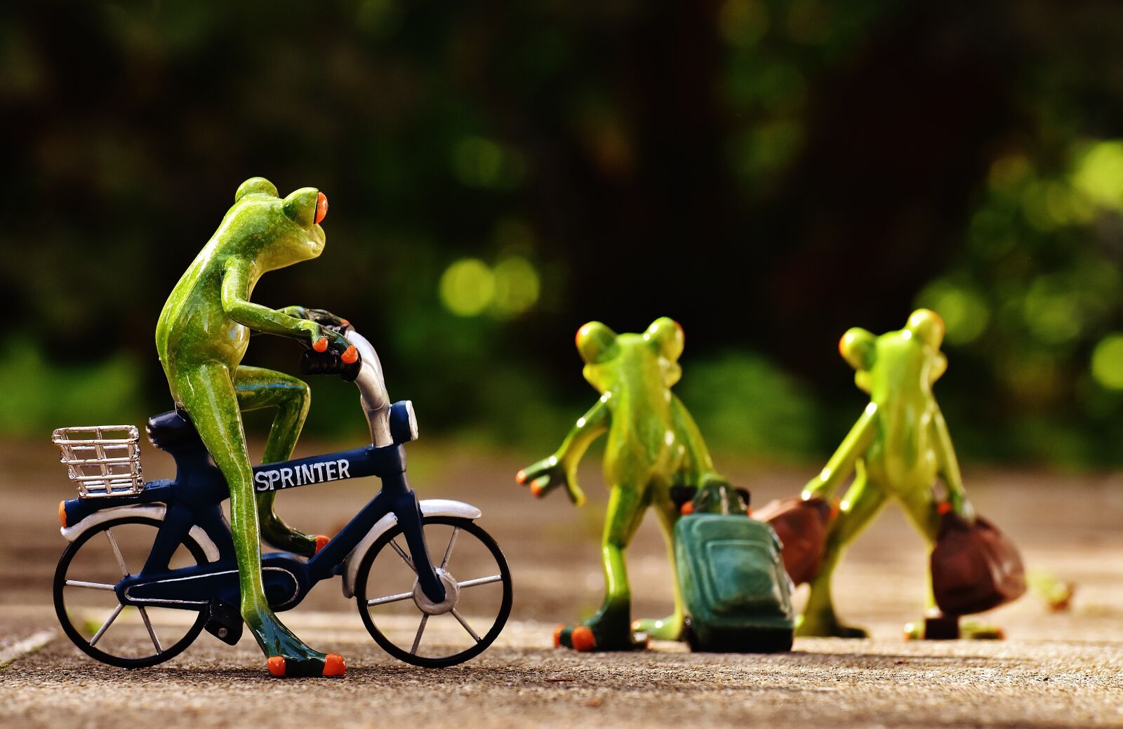 Nikon D7200 sample photo. Frogs, farewell, bike photography