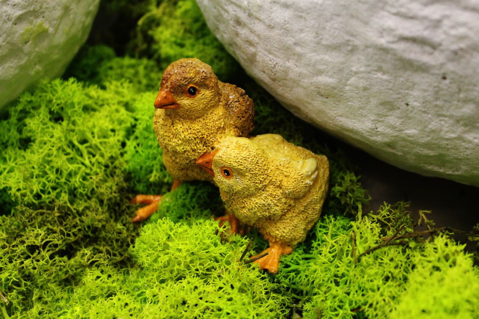 Canon EOS 1100D (EOS Rebel T3 / EOS Kiss X50) sample photo. Easter, chicks, yellow chicks photography