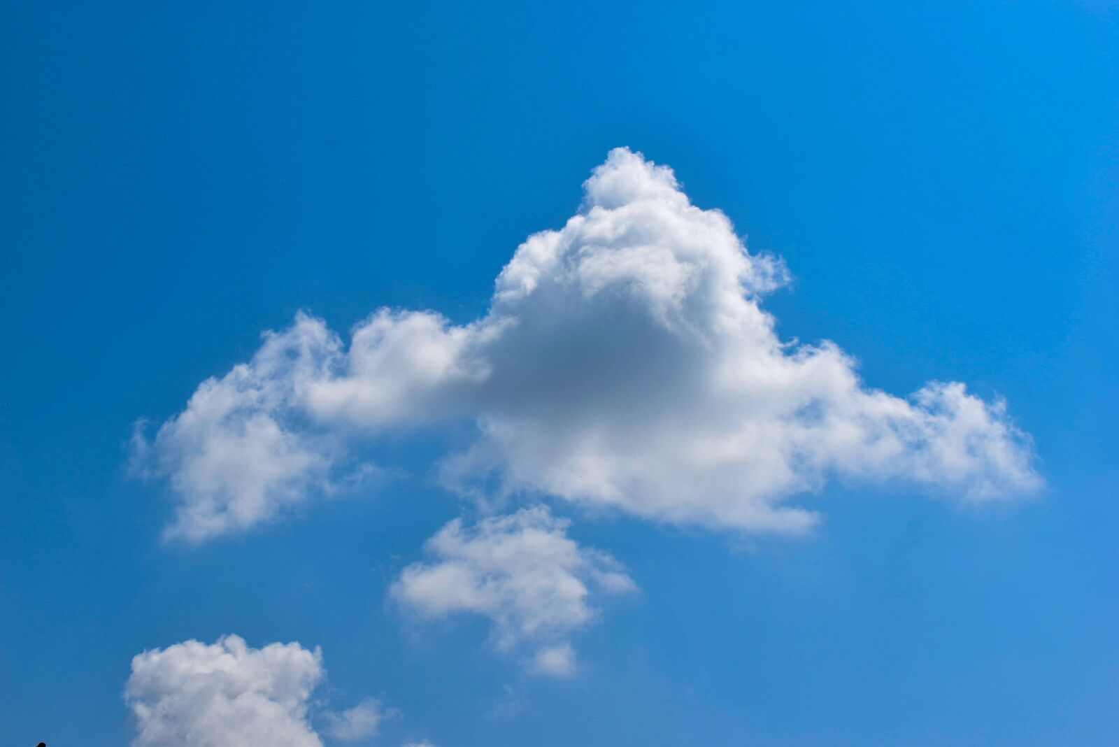 Nikon D3500 sample photo. Sky, blue, cloud photography