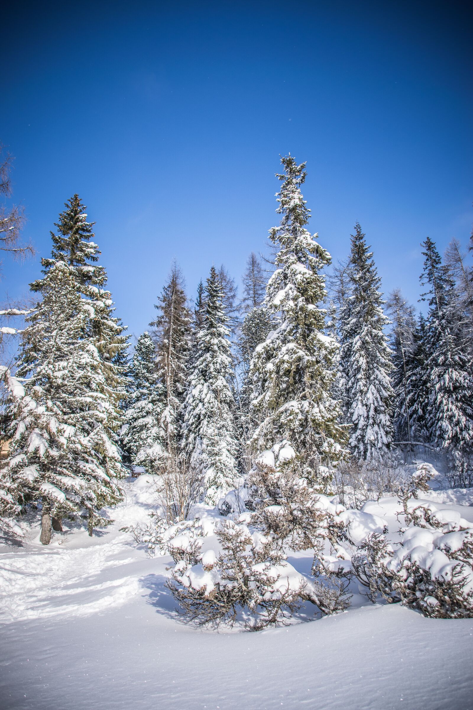 Nikon D5300 sample photo. Snow, drifts, winter photography