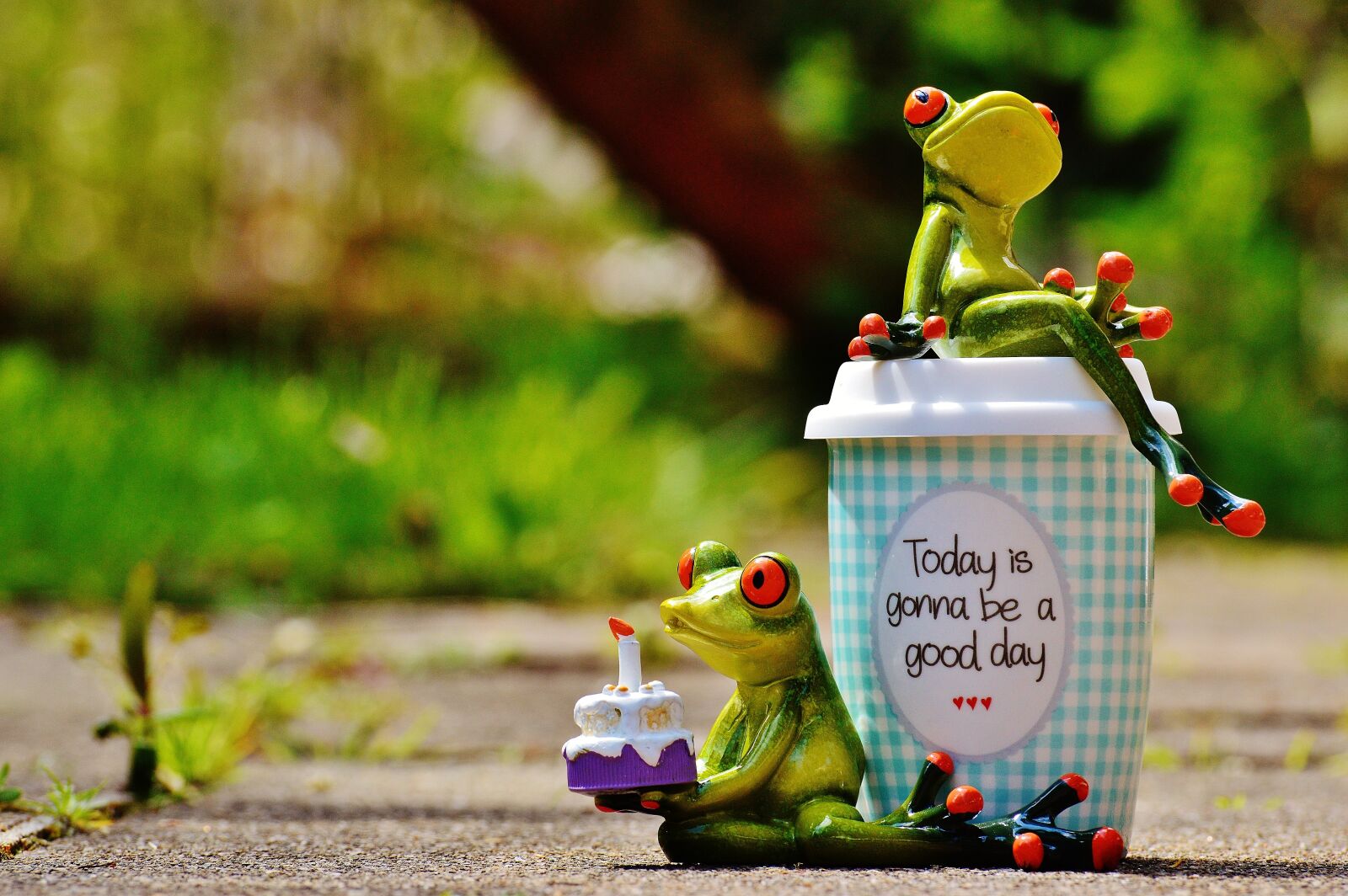 Nikon D3200 sample photo. Beautiful day, birthday, joy photography