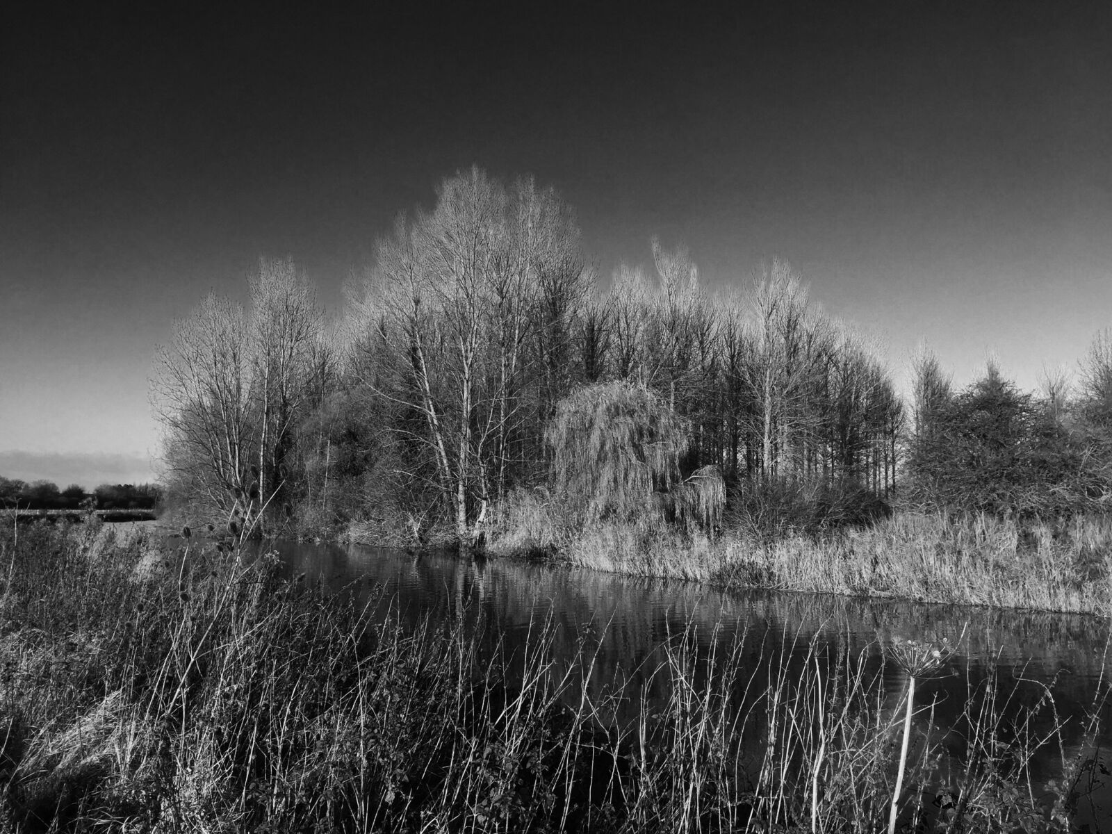Apple iPhone 6 sample photo. River, trees, reflections photography