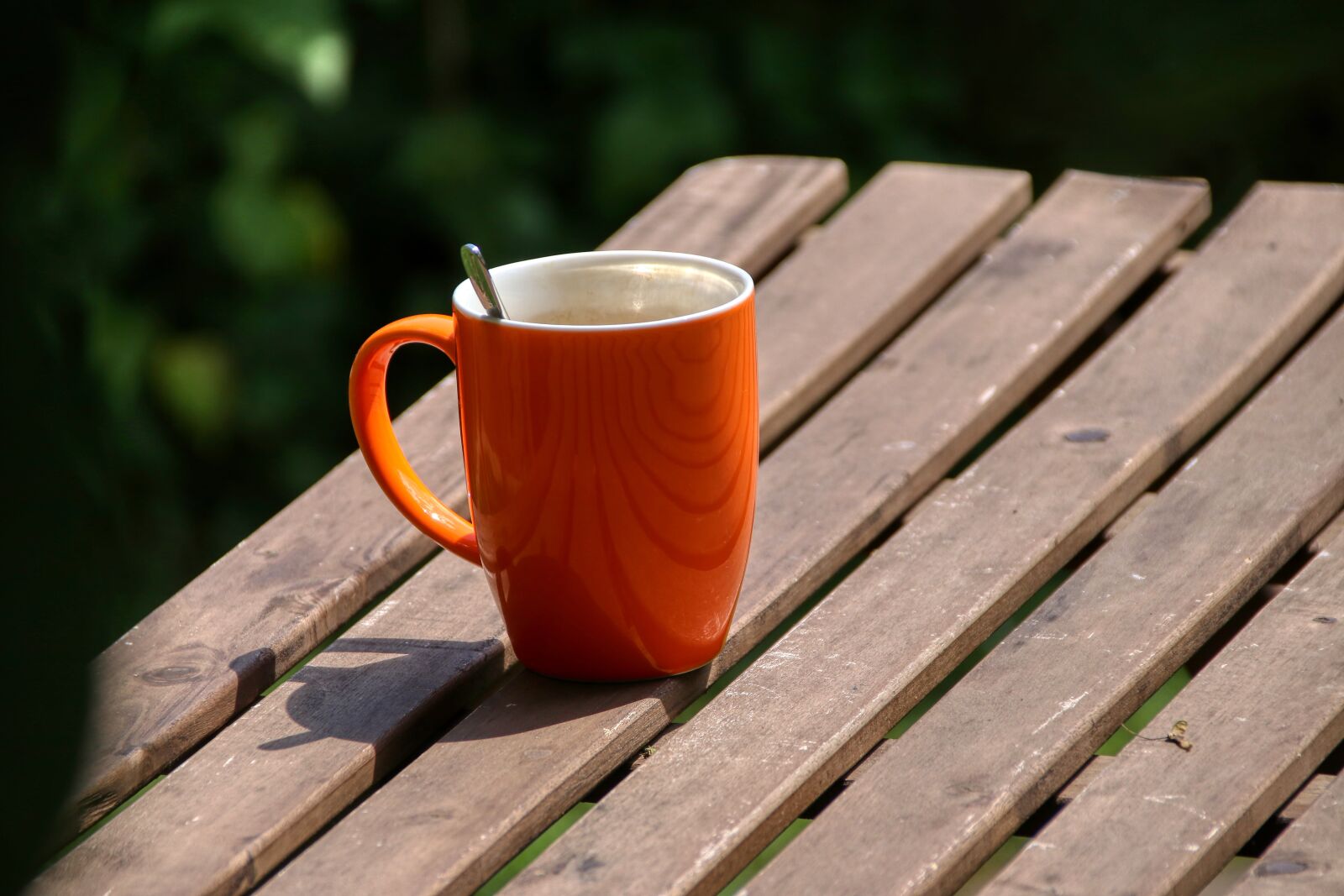 Canon EOS 80D sample photo. Coffee cup, cup, caffeine photography