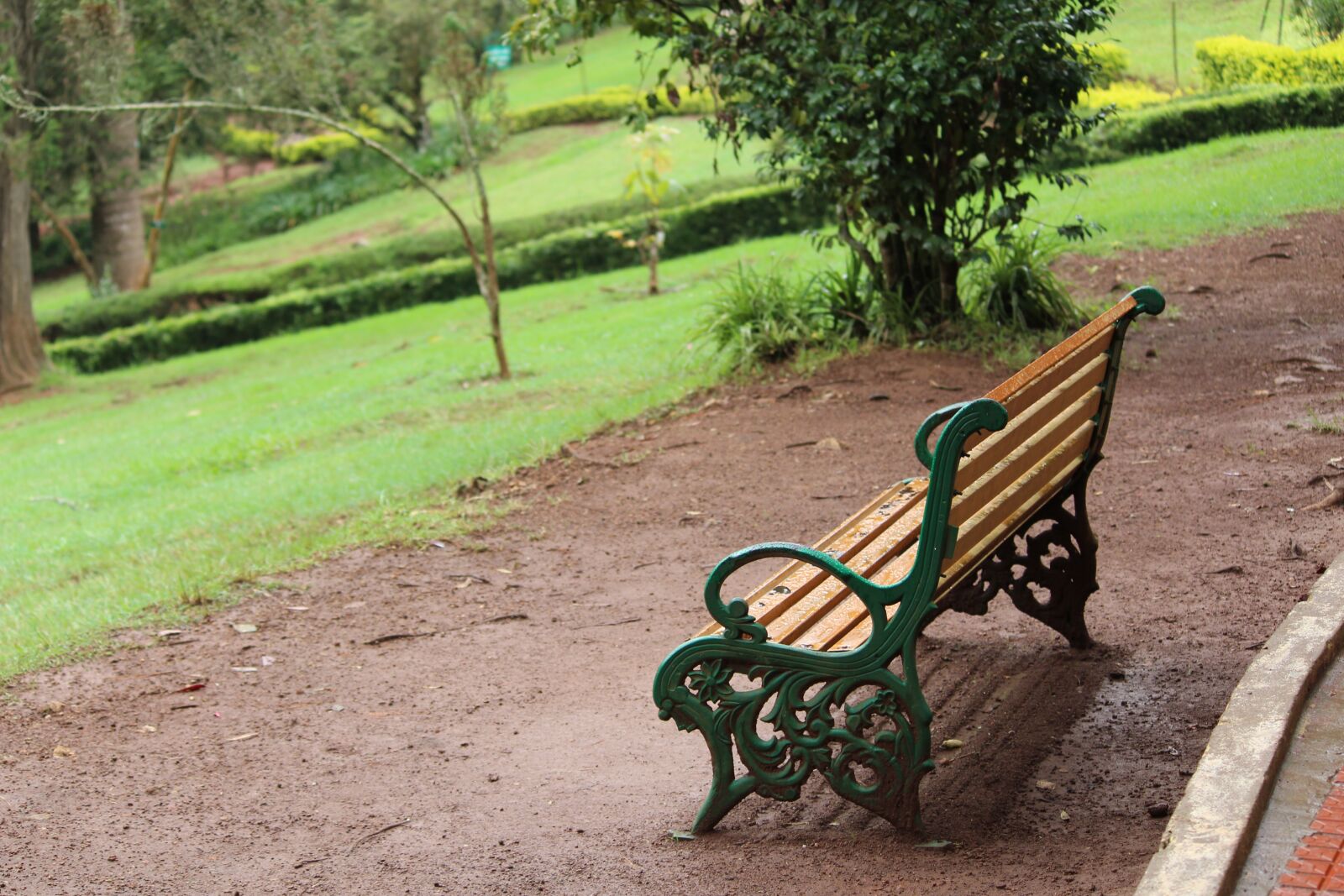 Canon EOS 1200D (EOS Rebel T5 / EOS Kiss X70 / EOS Hi) sample photo. Waiting, garden, bench photography