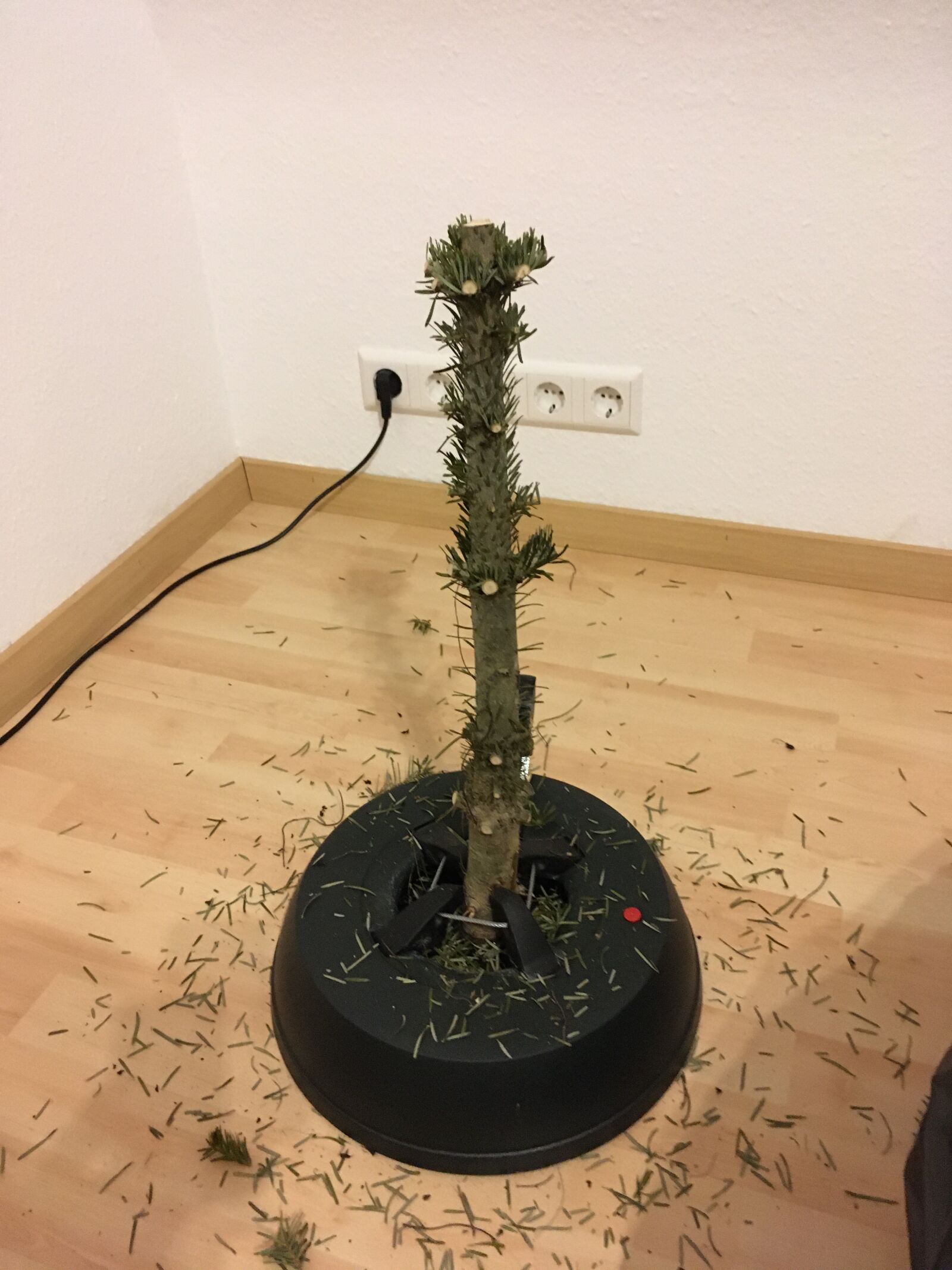 iPhone SE back camera 4.15mm f/2.2 sample photo. Christmas tree, sad, over photography