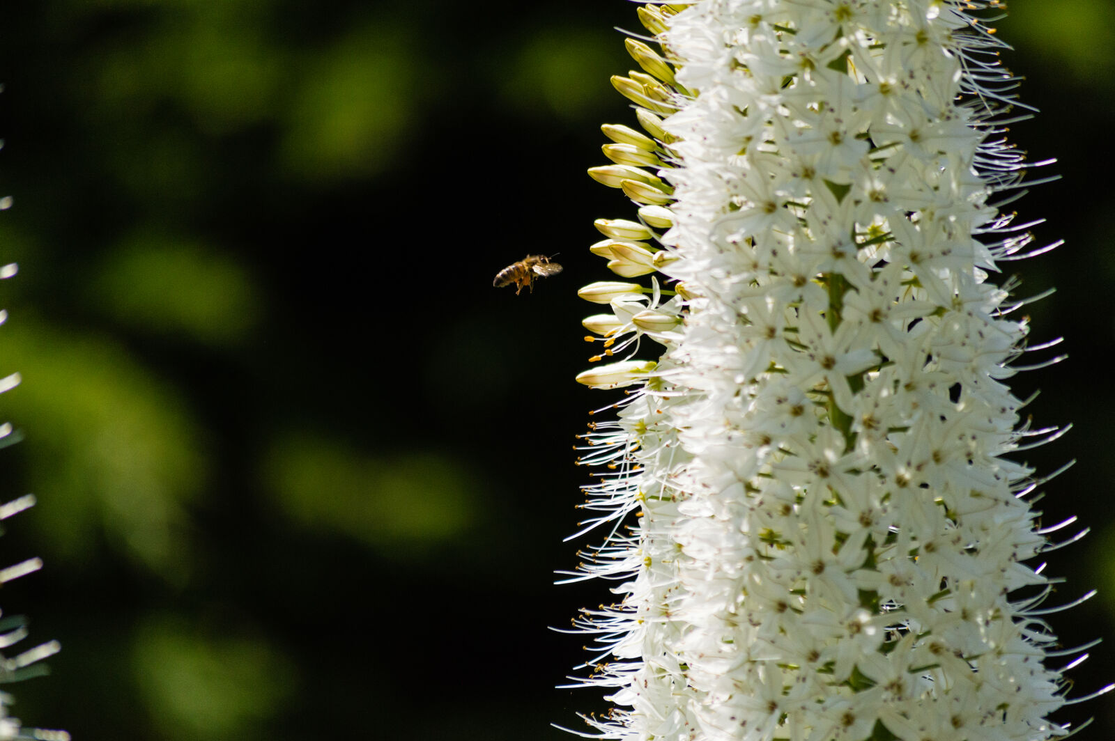 Nikon D3200 sample photo