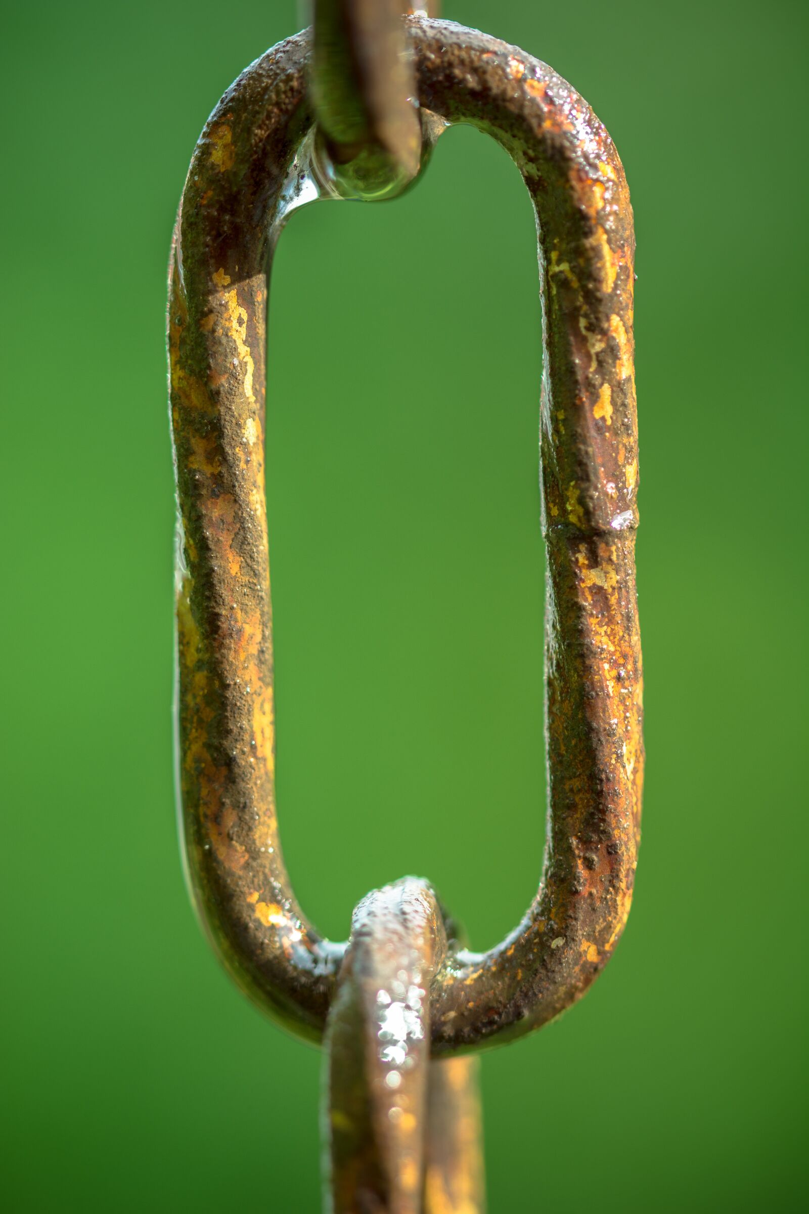 Nikon D7100 sample photo. Chain link, round link photography
