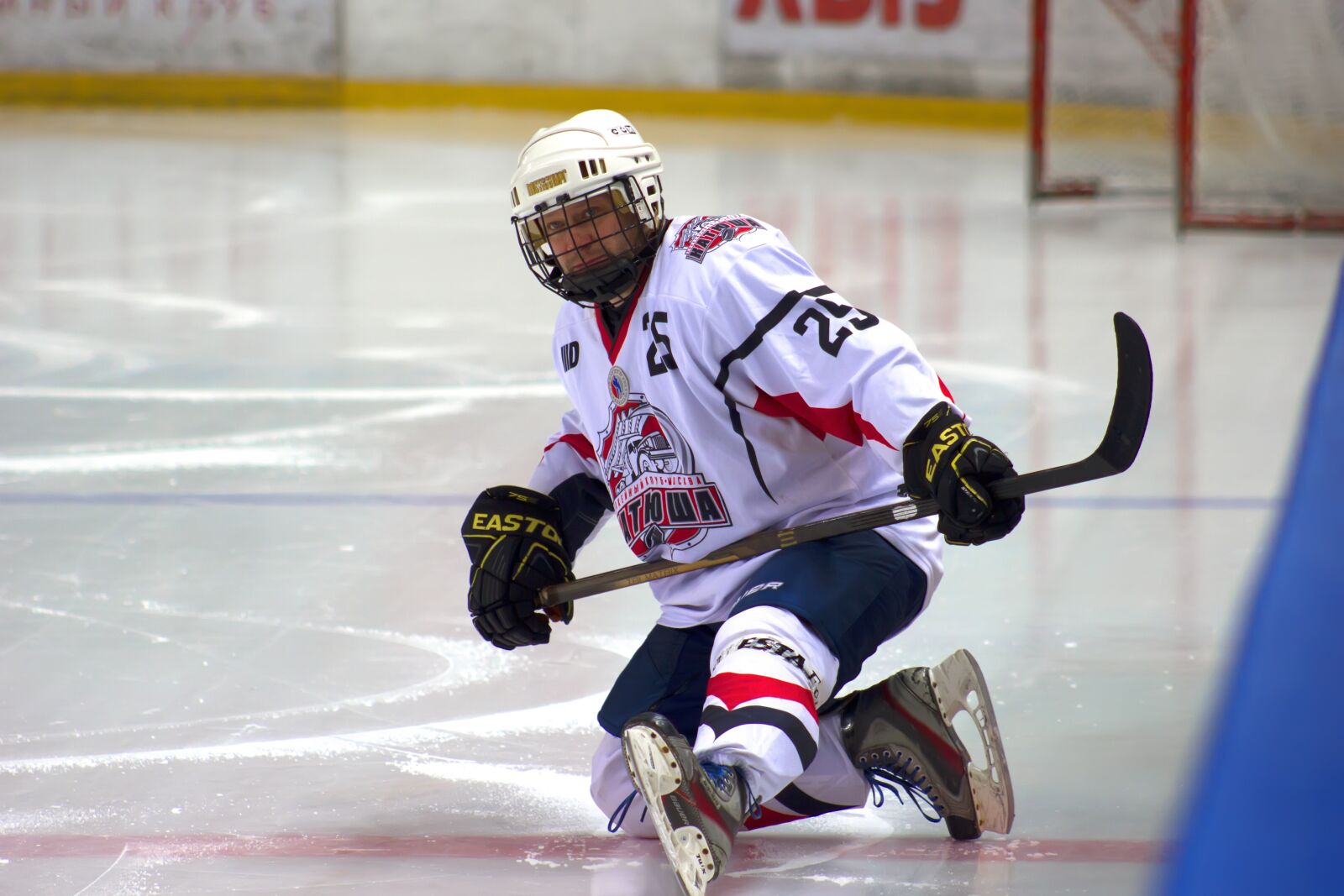 Canon EF75-300mm f/4-5.6 sample photo. Hockey, warm-up, game photography