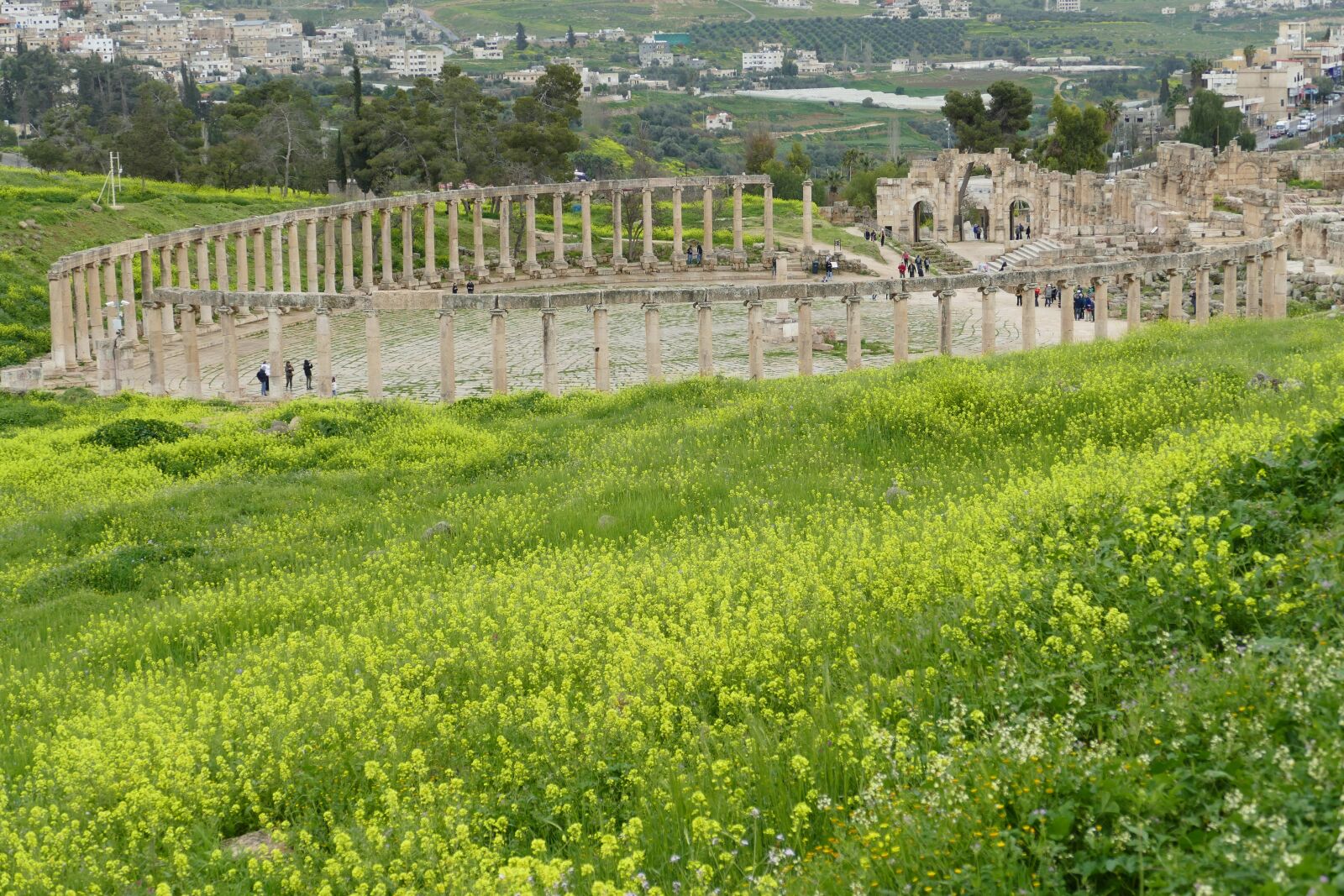Panasonic Lumix DMC-FZ1000 sample photo. Jordan, jerash, gerasa photography