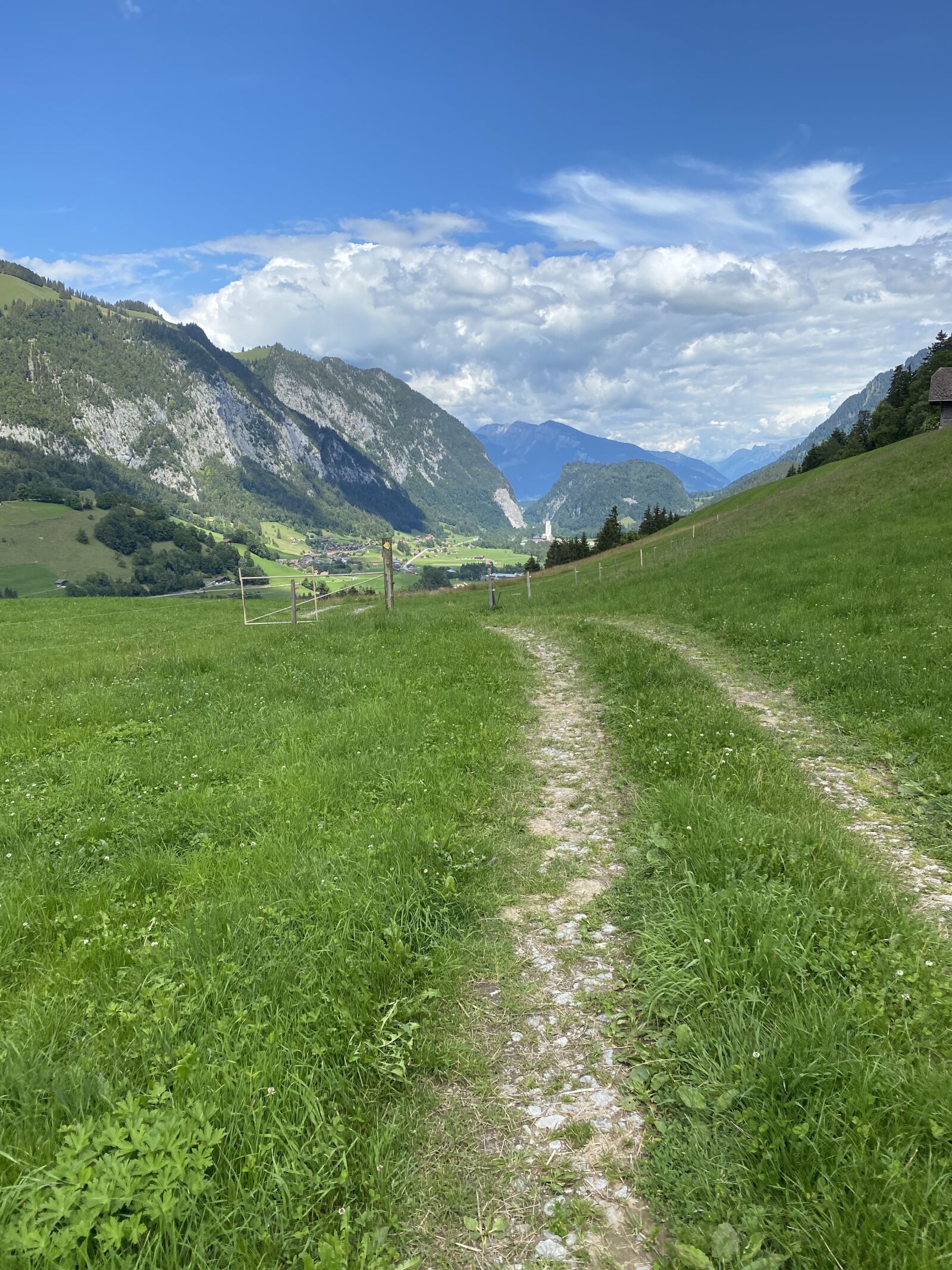 iPhone 11 Pro Max back triple camera 4.25mm f/1.8 sample photo. Switzerland, simmental, mountains photography