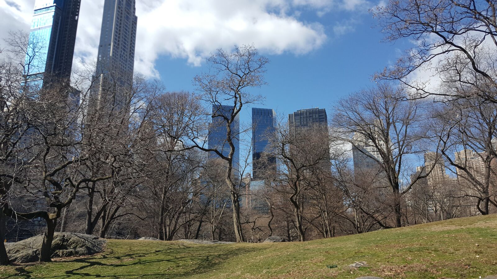 Samsung Galaxy Note5 sample photo. Park, central park, manhattan photography