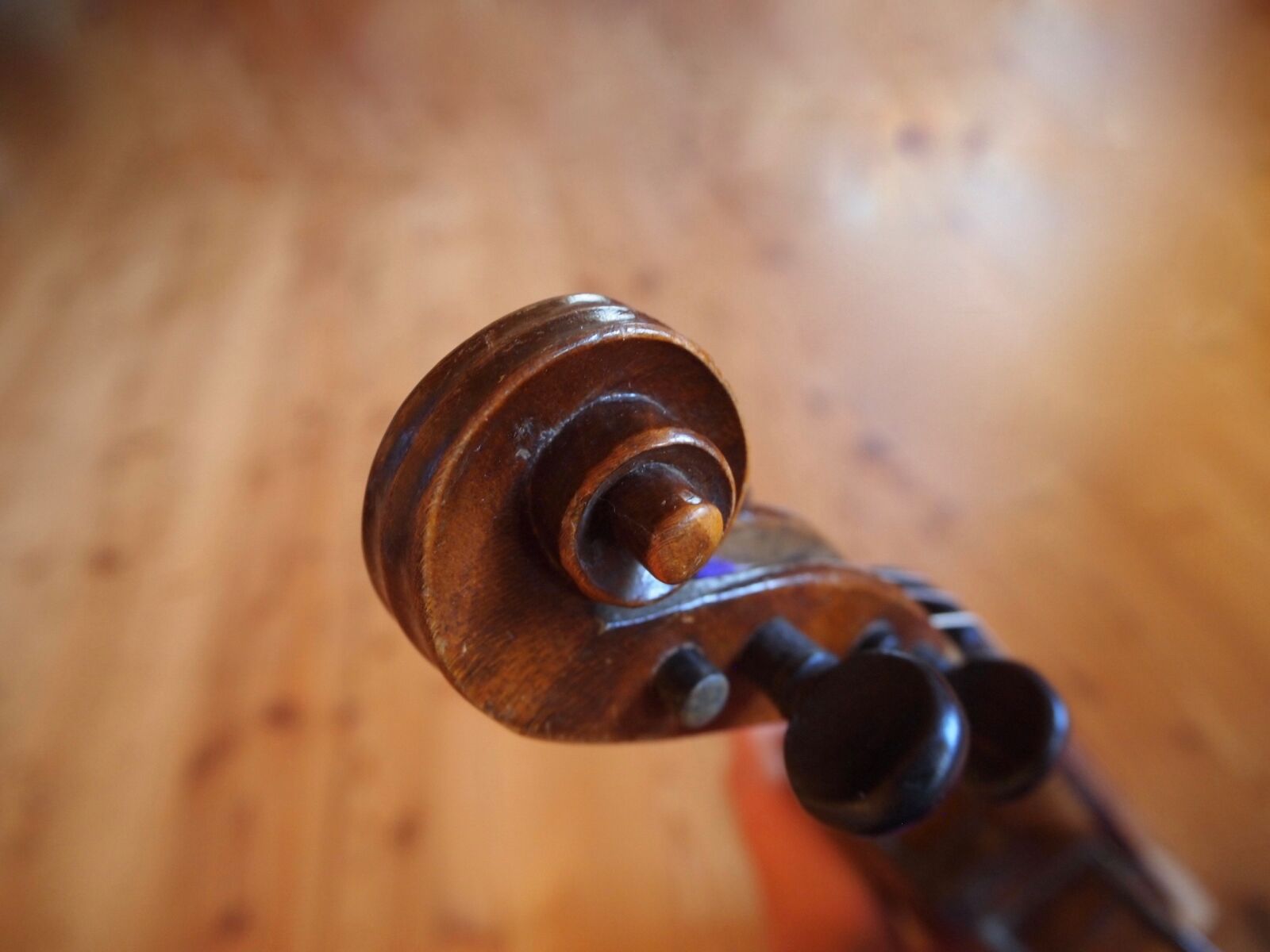 Olympus PEN E-PL2 sample photo. Violin, tuning, musical photography