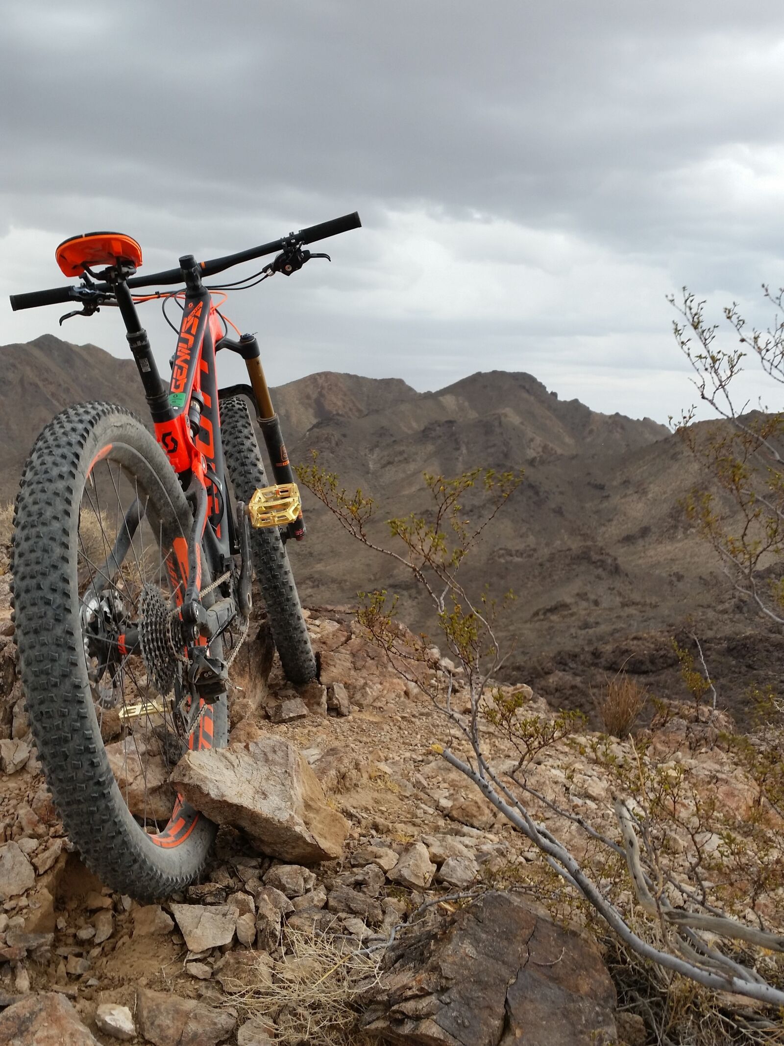 Samsung Galaxy S5 sample photo. Cycling, mountain biking, nature photography