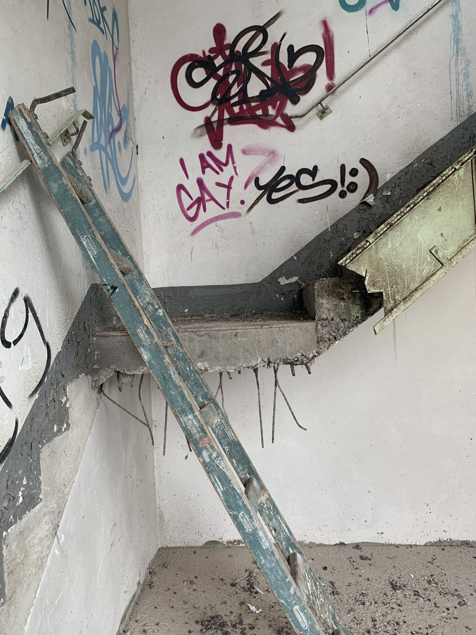 iPhone XS back dual camera 4.25mm f/1.8 sample photo. Graffiti, site, demolition house photography