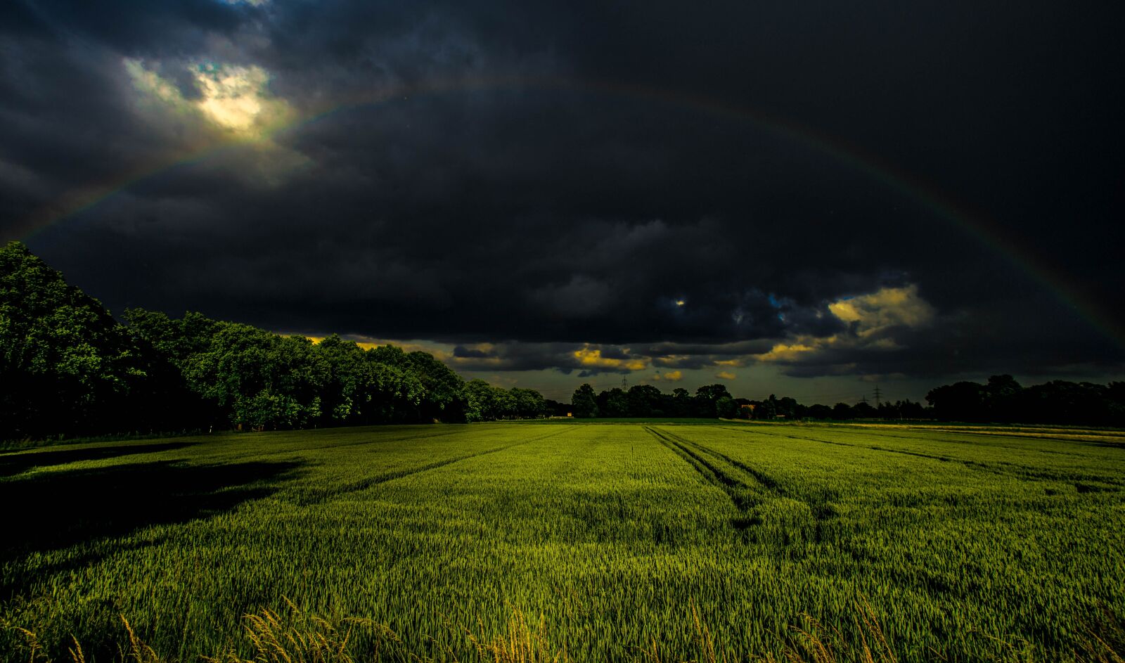 Nikon D3300 sample photo. Rainbow, green, grass photography