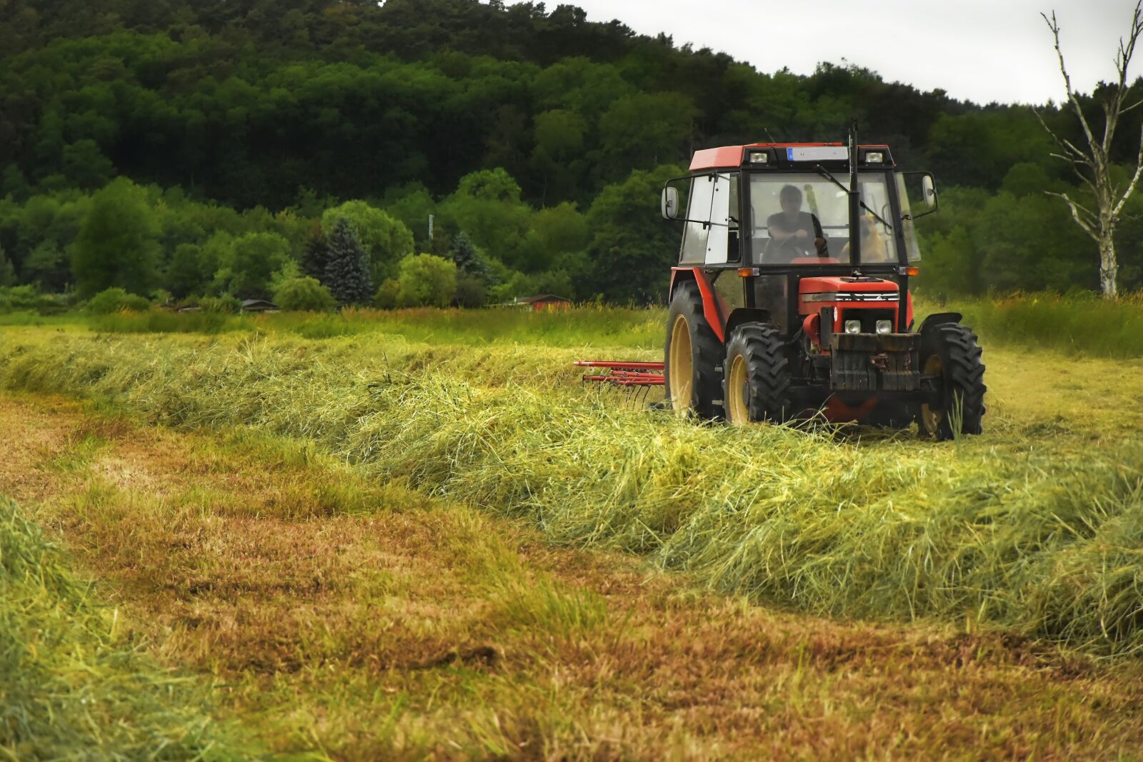 Nikon D5600 sample photo. Hay, tractor, tractors photography