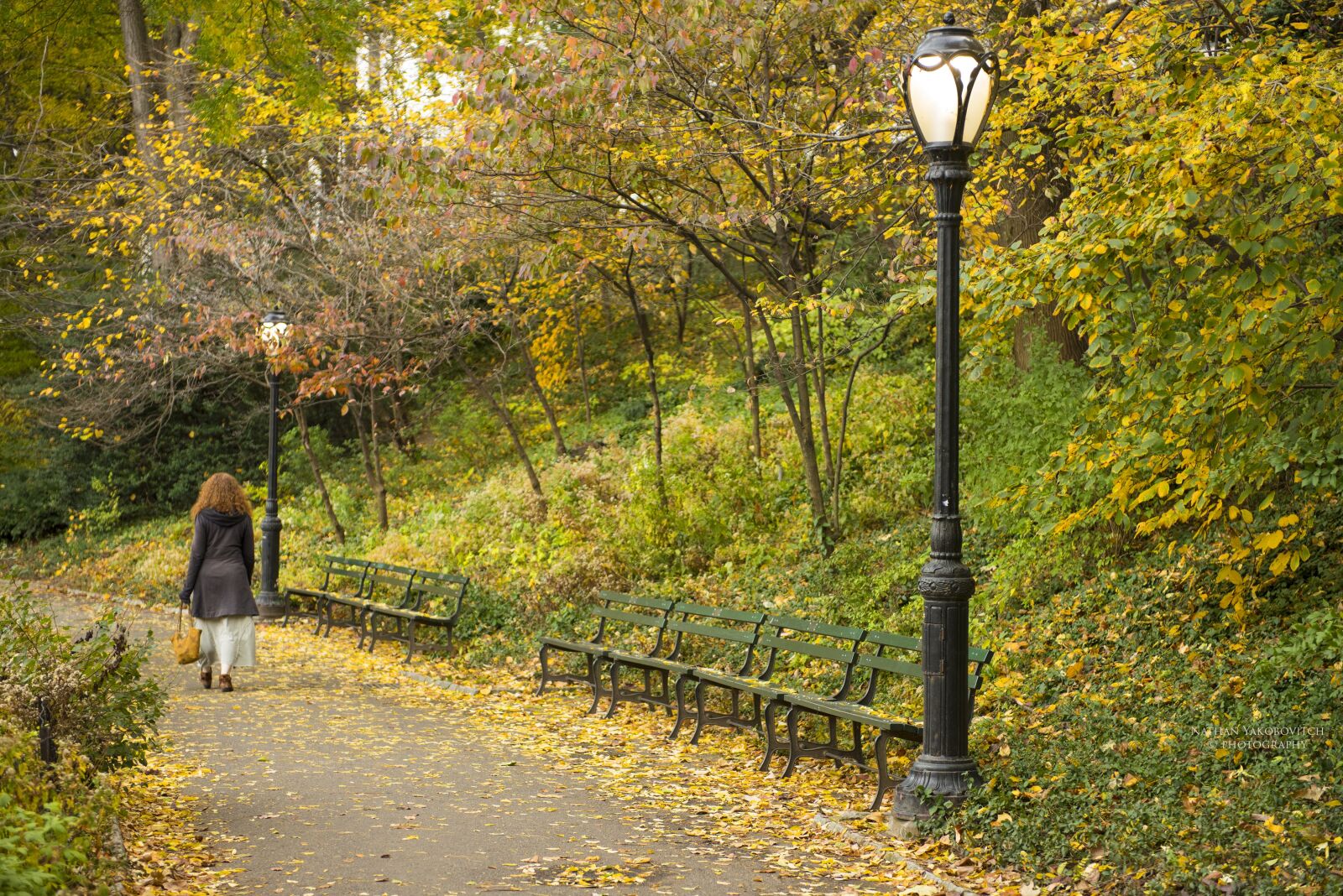 Nikon D810 sample photo. Central park, nyc, woman photography