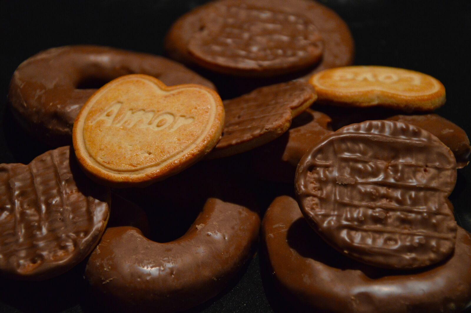 Nikon D3200 sample photo
