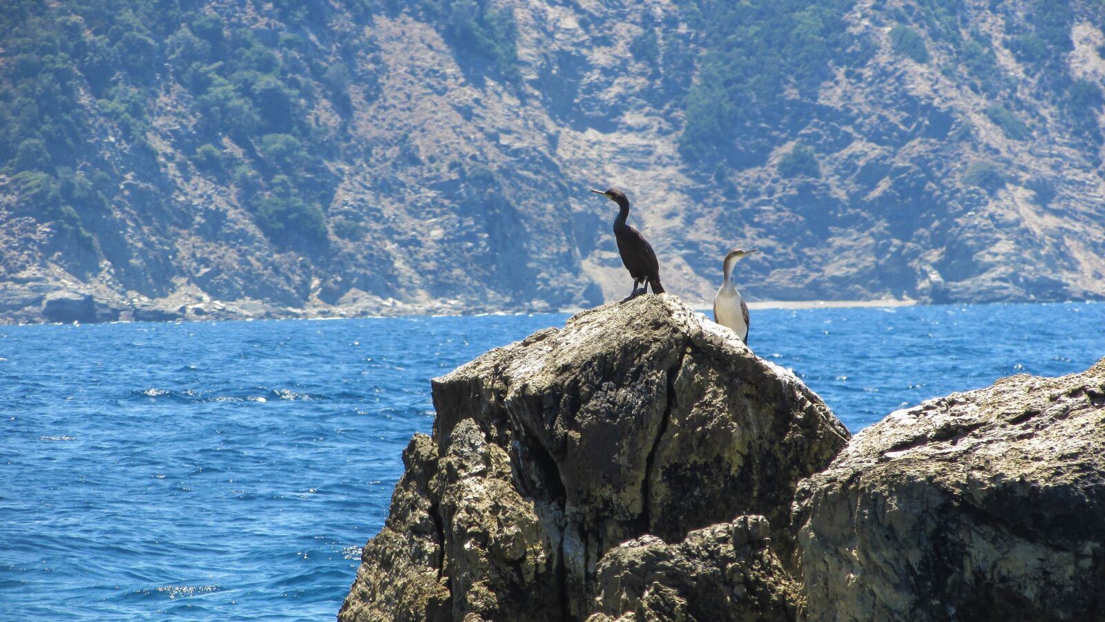 Canon PowerShot SX400 IS sample photo. Greece, skiathos, rock photography