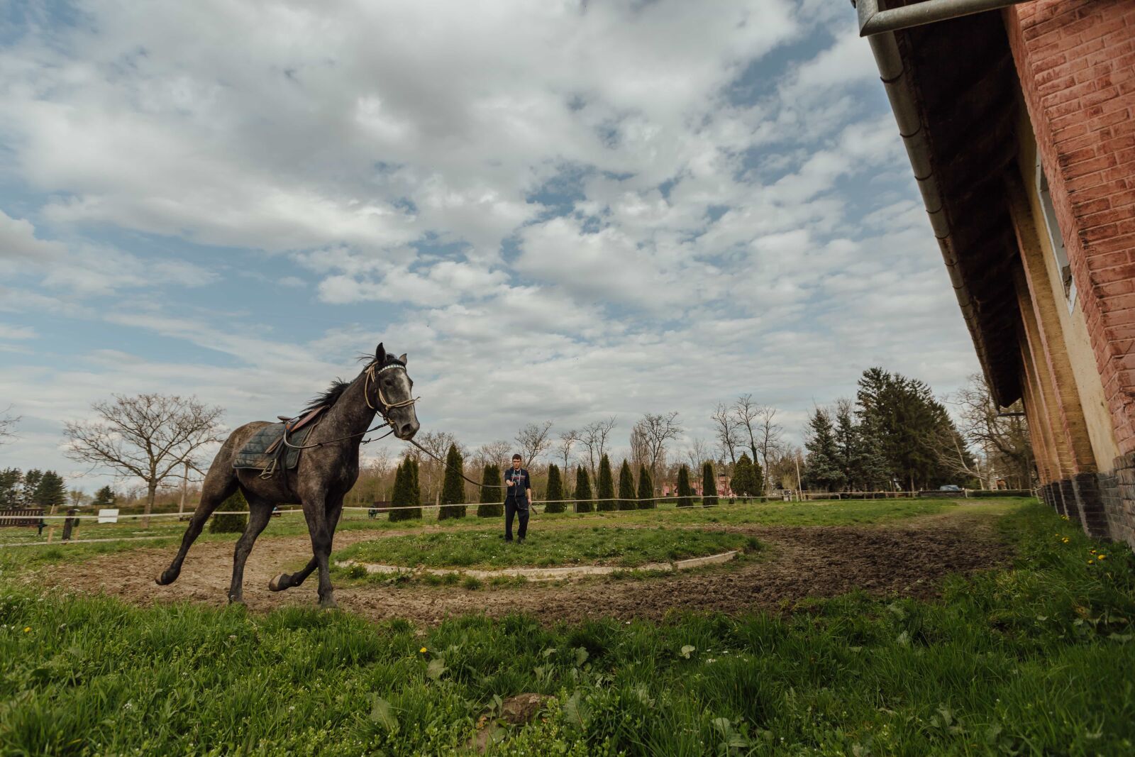 Canon EF 16-35mm F2.8L II USM sample photo. Horse, ranch, trainer, training photography